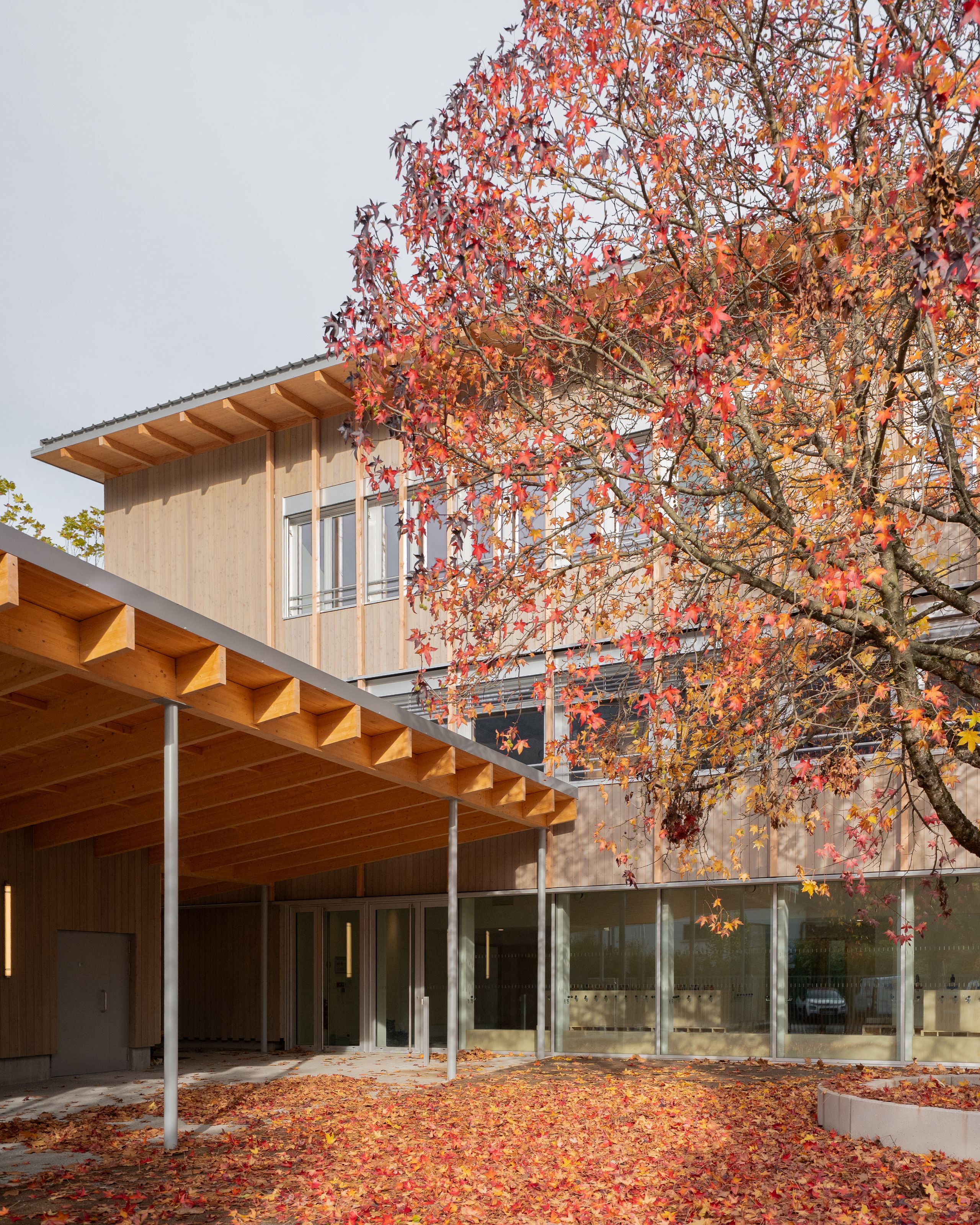 Façade bois surélevée du groupe scolaire du Bouchet à Bonneville, préau en ossature bois sur poteaux métalliques ouvrant sur une cour plantée à l’automne.