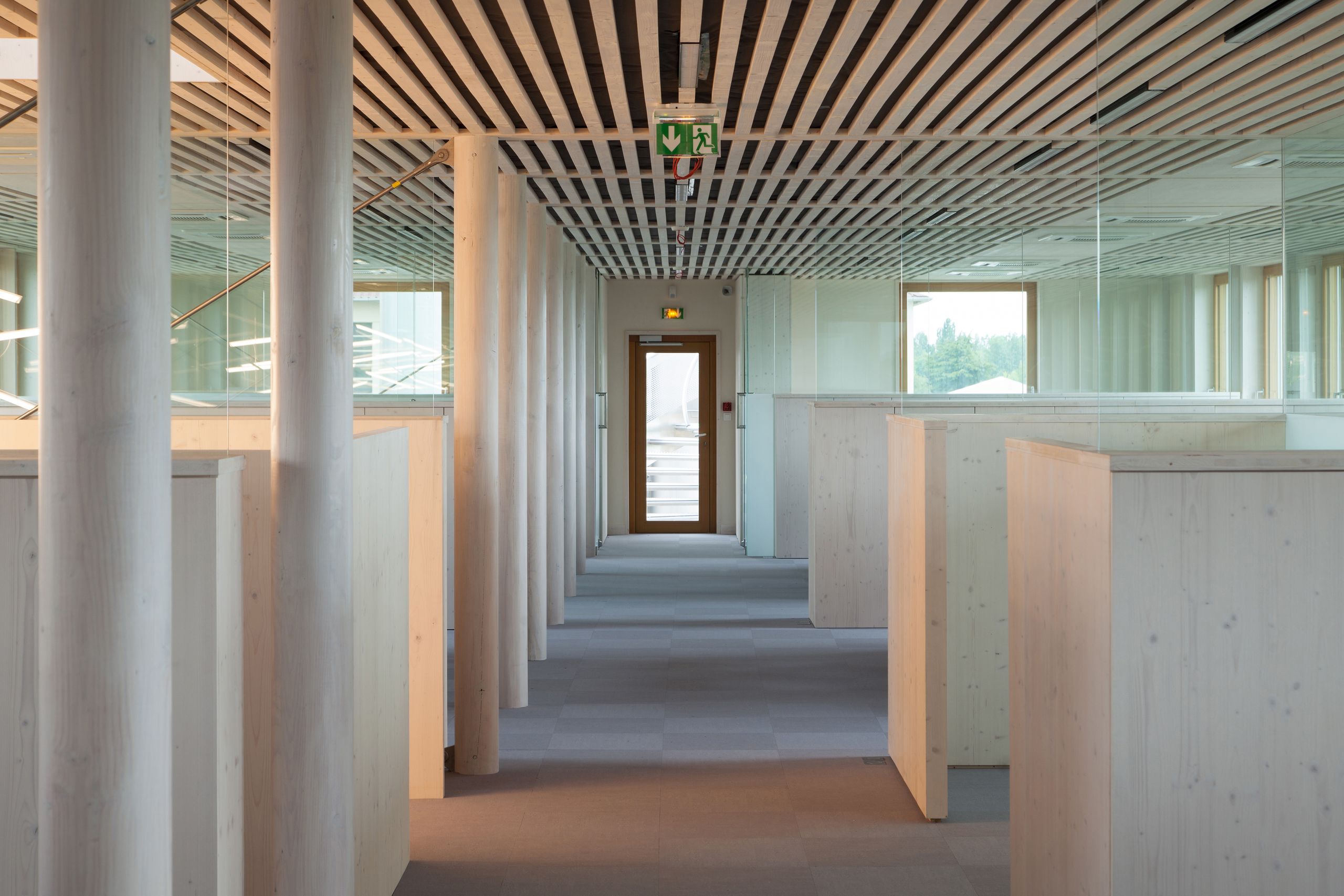 Vue intérieure du plateau tertiaire rénové et surélevé à Saint-Martin-Belle-Roche par Tectoniques : un couloir central distribue des espaces de travail cloisonnés en panneaux de bois clair, rythmés par une série de poteaux cylindriques en structure bois et de parois vitrées toute hauteur ; le plafond à lames bois ajourées intègre les réseaux techniques et renforce la trame longitudinale, tandis que les menuiseries extérieures en bois lasuré miel cadrent les vues sur le paysage environnant.