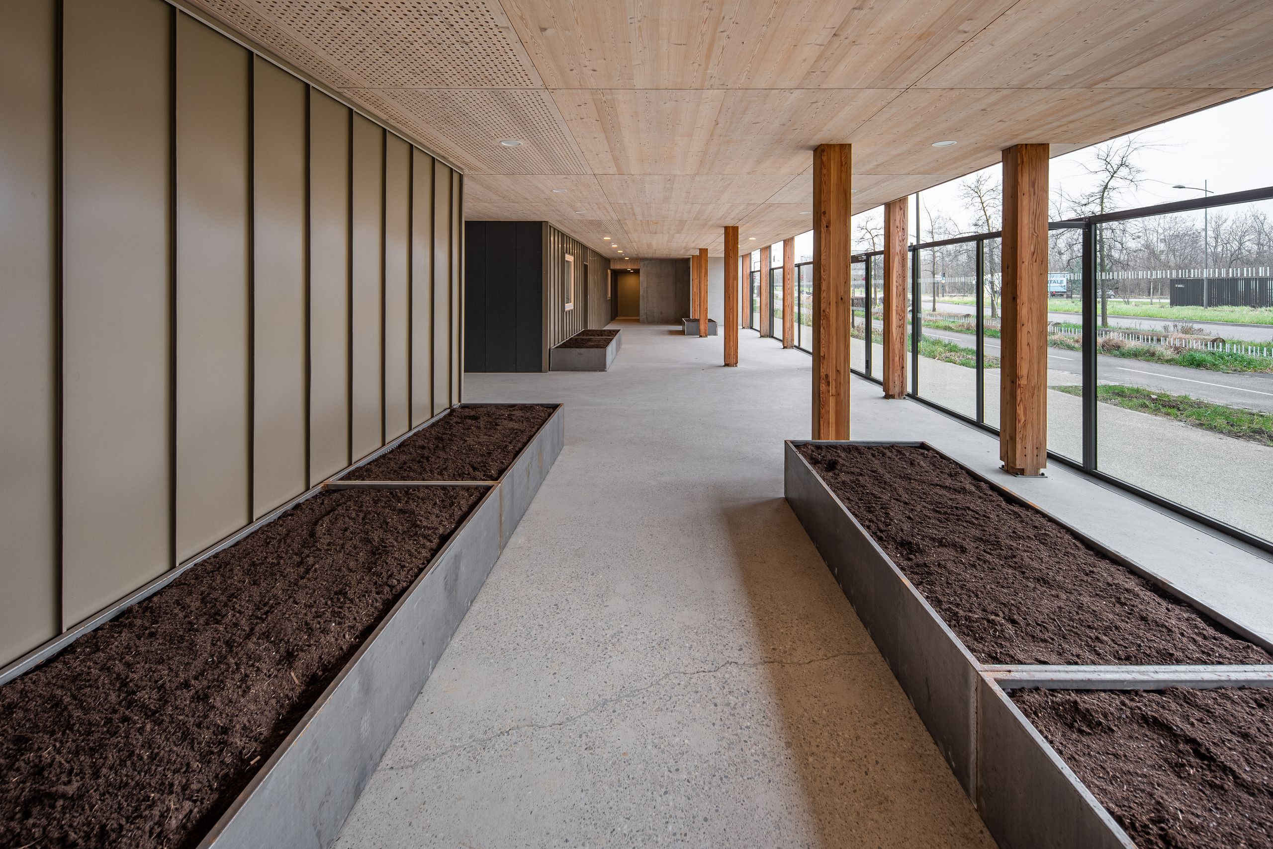 Galerie couverte des 98 logements Tectoniques à Strasbourg, structure bois-béton, jardinières intégrées et façade vitrée longitudinale sur l’espace public.
