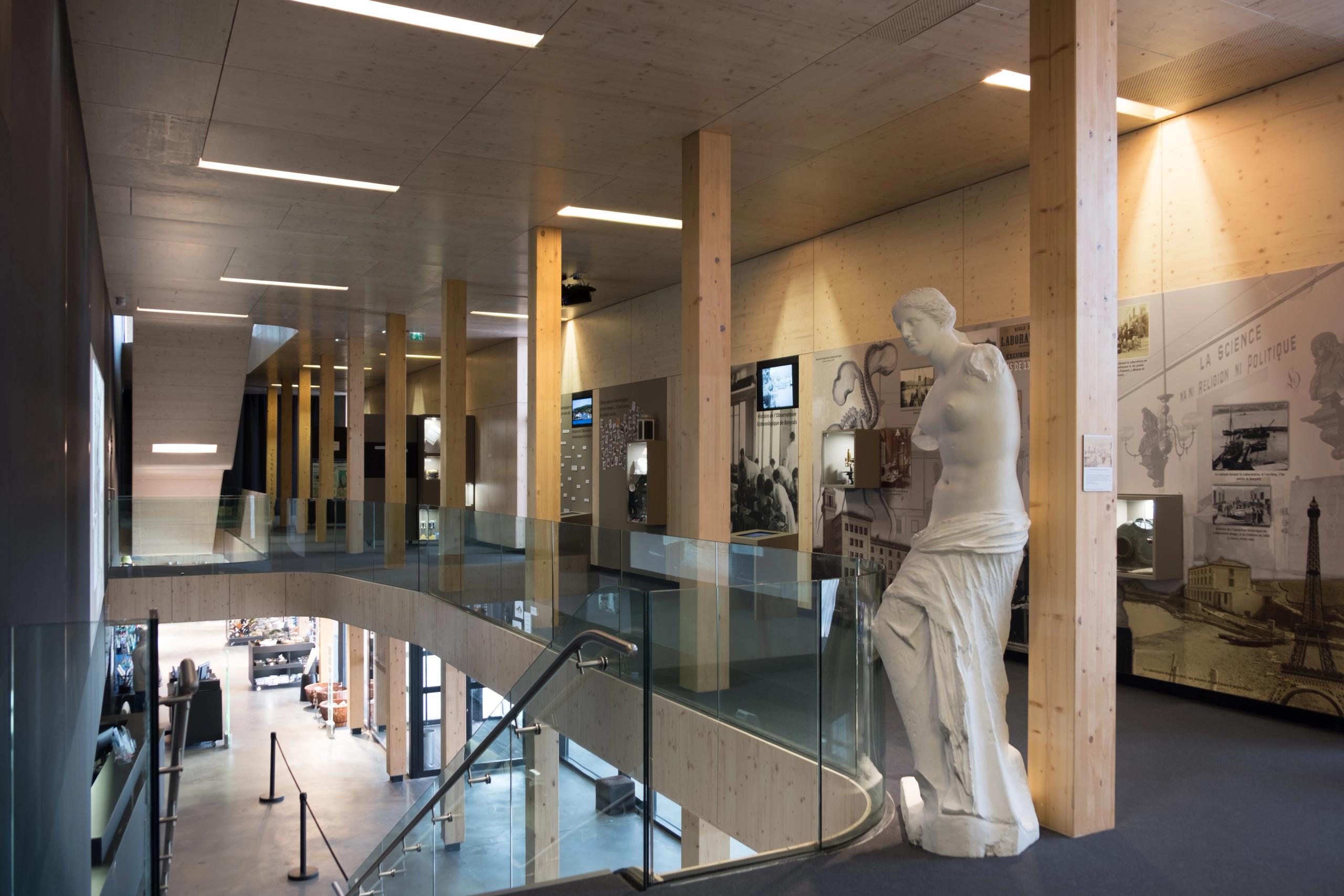 Intérieur du Biodiversarium à Banyuls-sur-Mer, mezzanine en bois et verre avec circulation courbe, poteaux lamellés-collés et espace muséal éclairé en lumière naturelle.