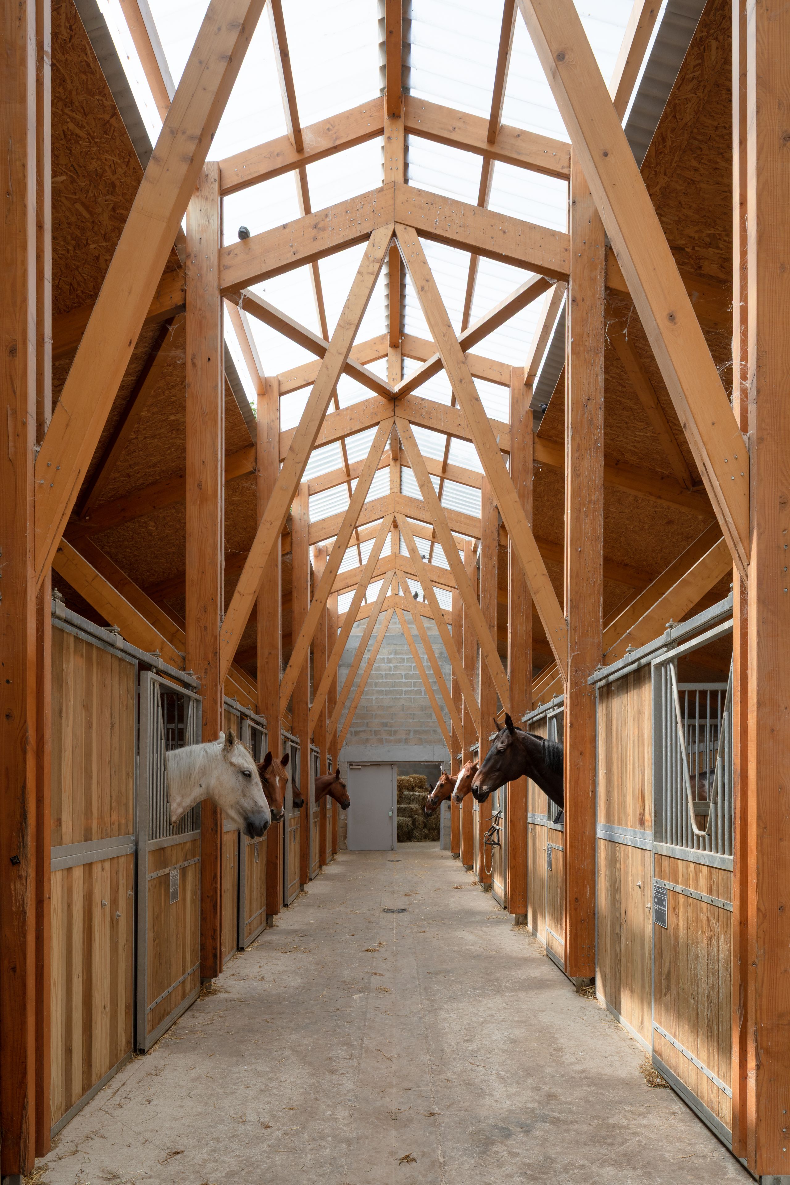 Allée centrale des écuries du centre équestre de Gennevilliers, charpente bois apparente et toiture translucide apportant une lumière diffuse sur les boxes.
