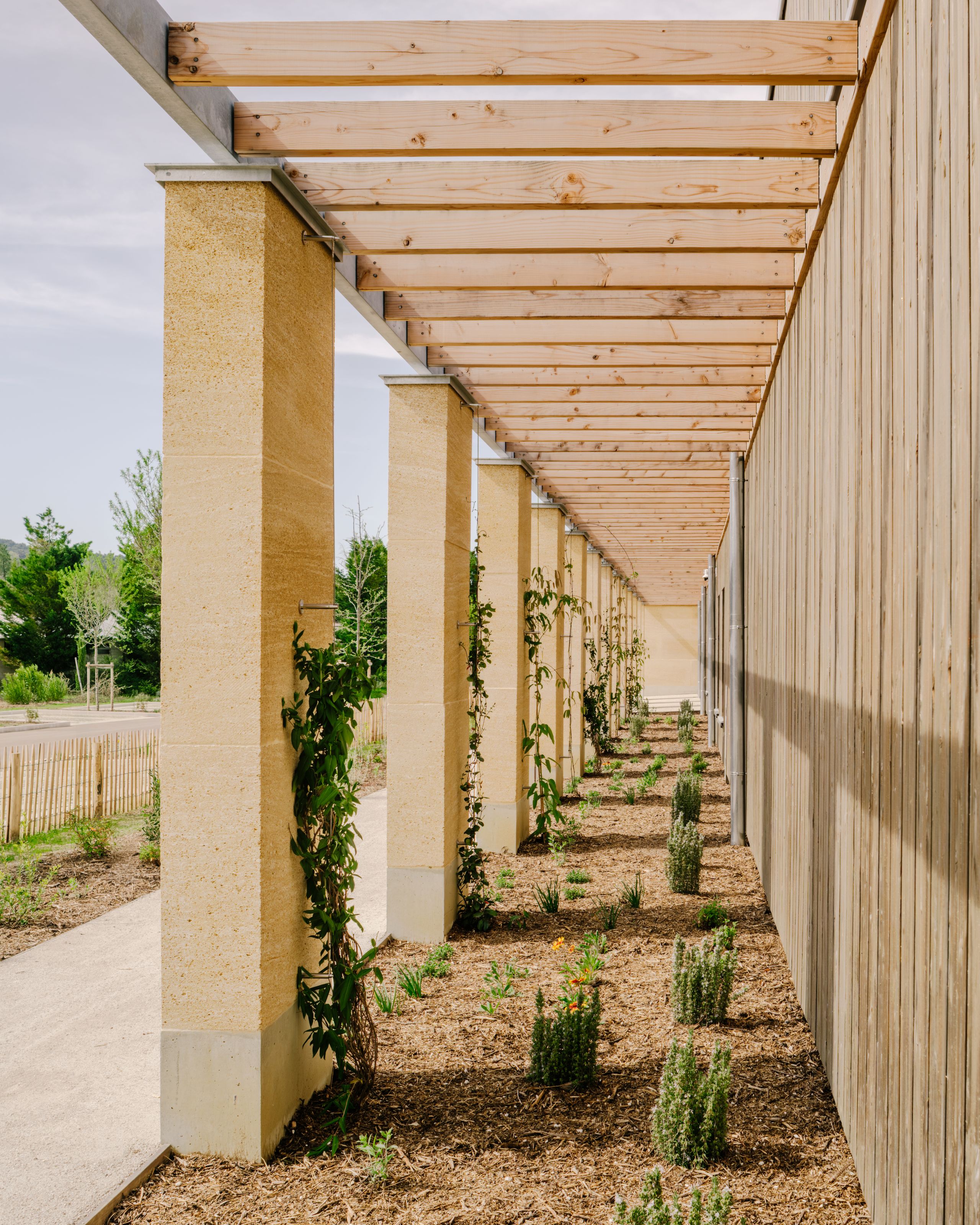 Timber pergola and stone colonnade along the Youth Cultural Centre in Vaison-la-Romaine, forming a shaded walkway with planted beds and climbing vines.