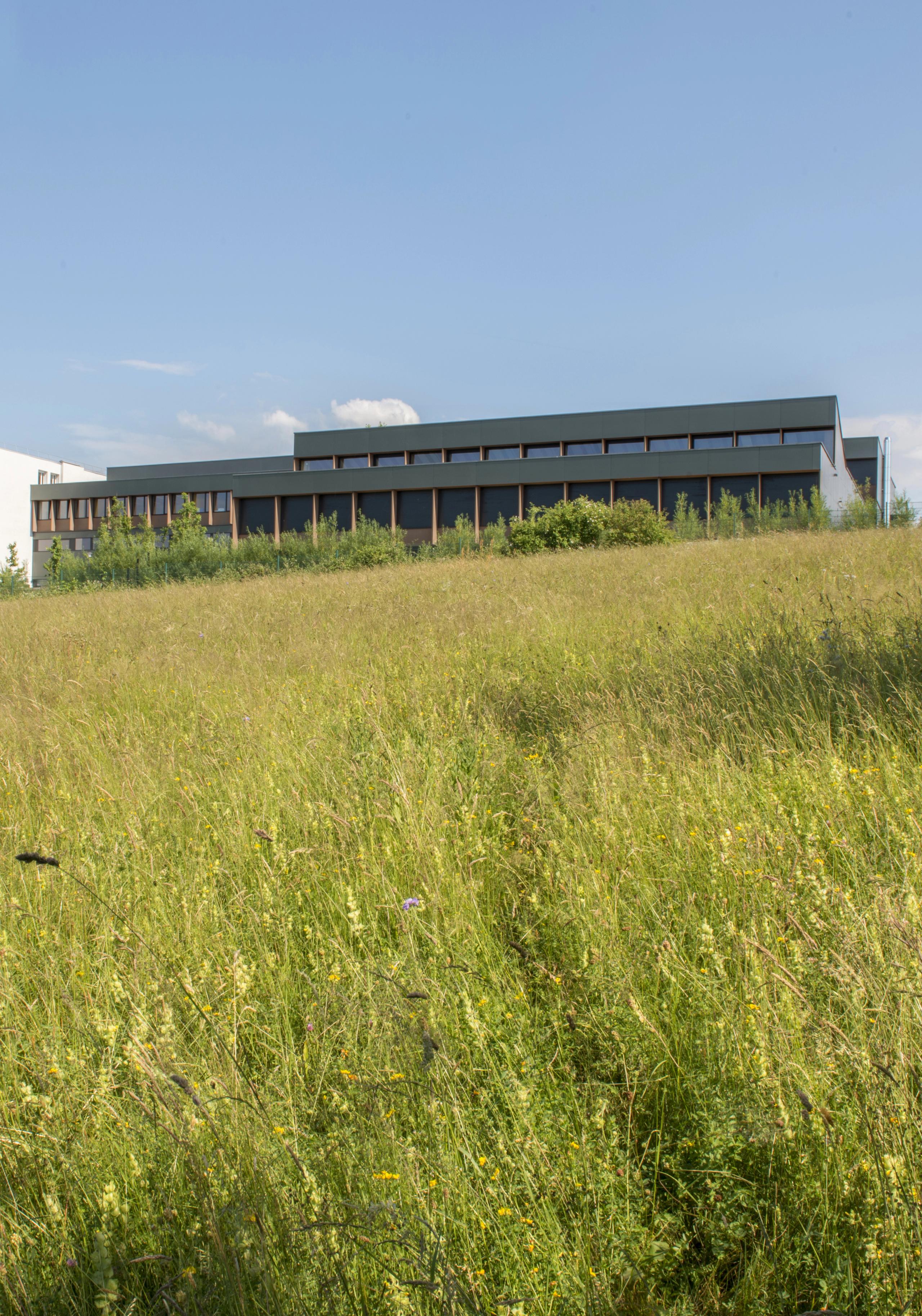 Façade longitudinale du collège Pierre-Joseph Proudhon à Besançon, volume bois sombre sur prairie haute, baies rythmées et couronnement vitré en retrait.