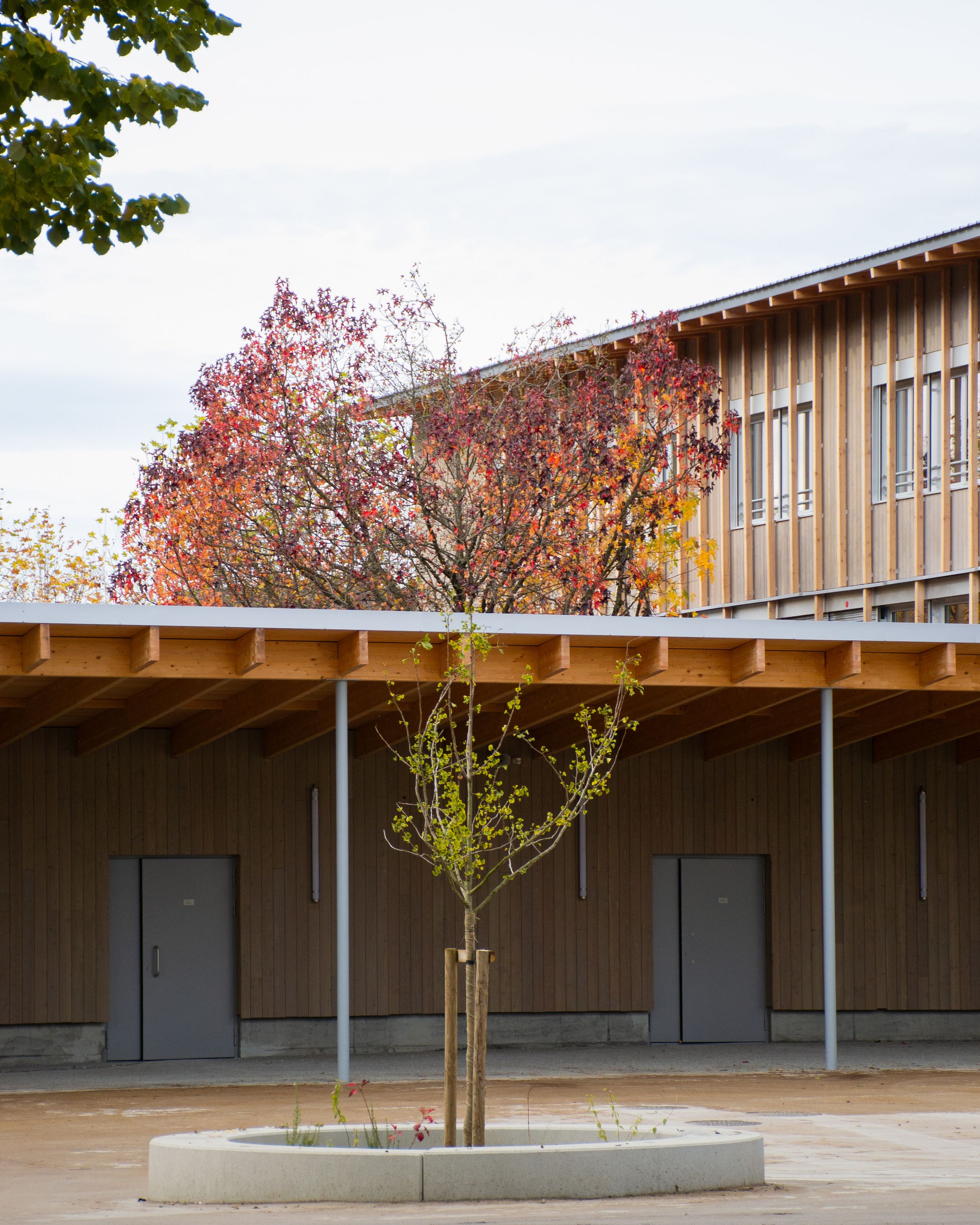 Préau en ossature bois du groupe scolaire du Bouchet à Bonneville, façade bardée de lames verticales, poteaux métalliques et cour plantée d’arbres.