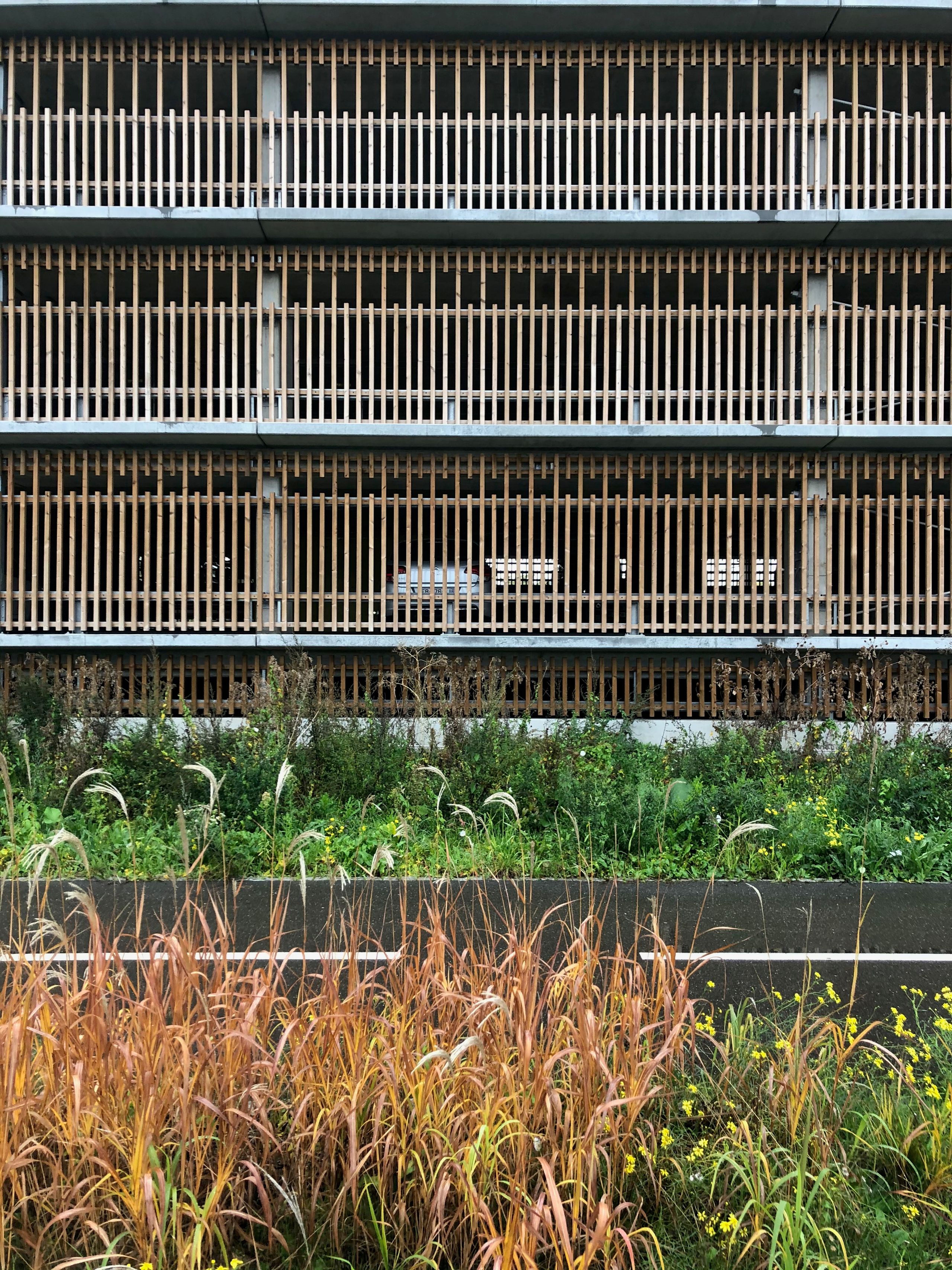 Façade du parking silo Tectoniques à Strasbourg, structure béton et bardage vertical bois, niveaux superposés en grille, en front d’une bande paysagée sauvage.