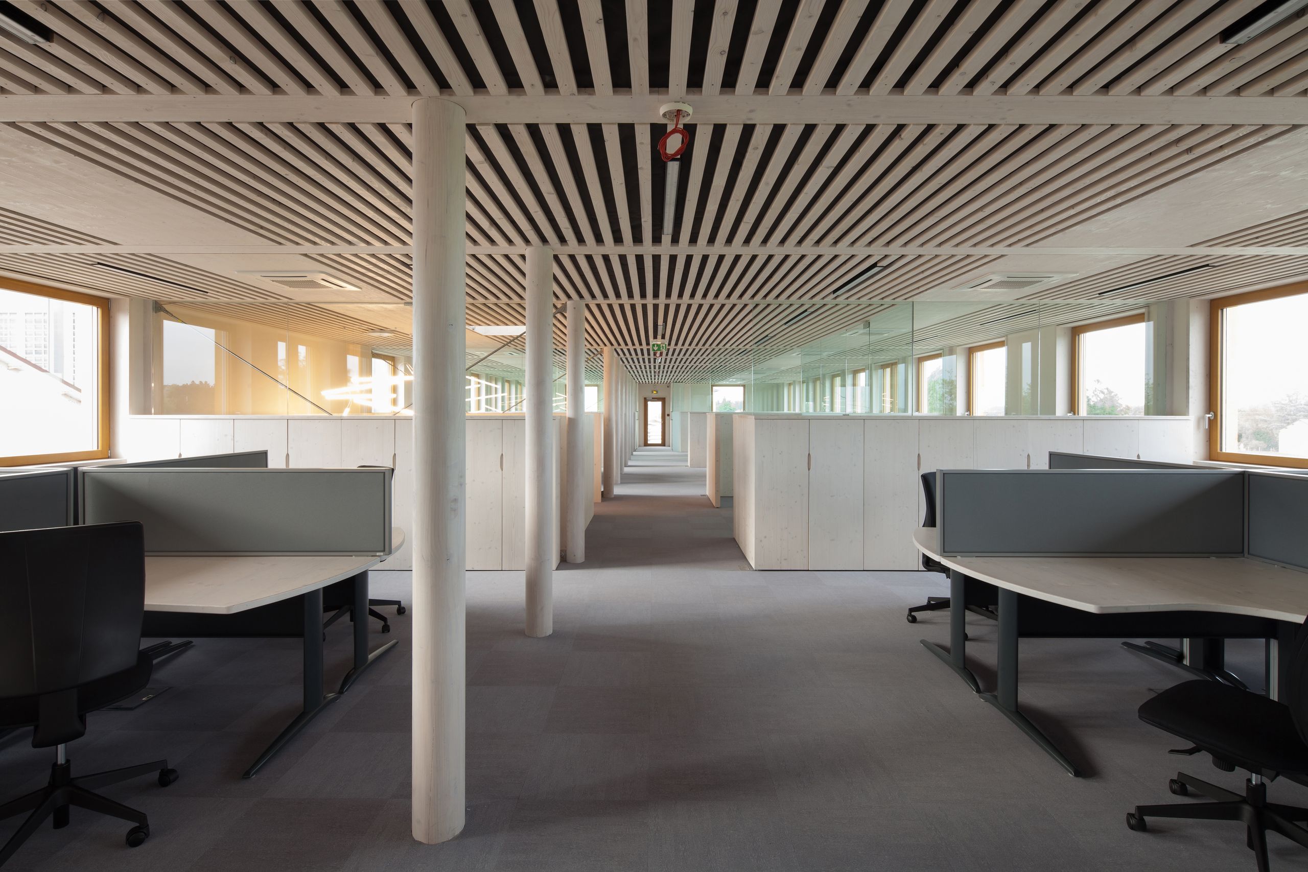 Plateau de bureaux rénové à Saint-Martin-Belle-Roche, surélévation bois Tectoniques : open space traversant, plafond à lames, poteaux bois et baies vitrées rythmant la façade.