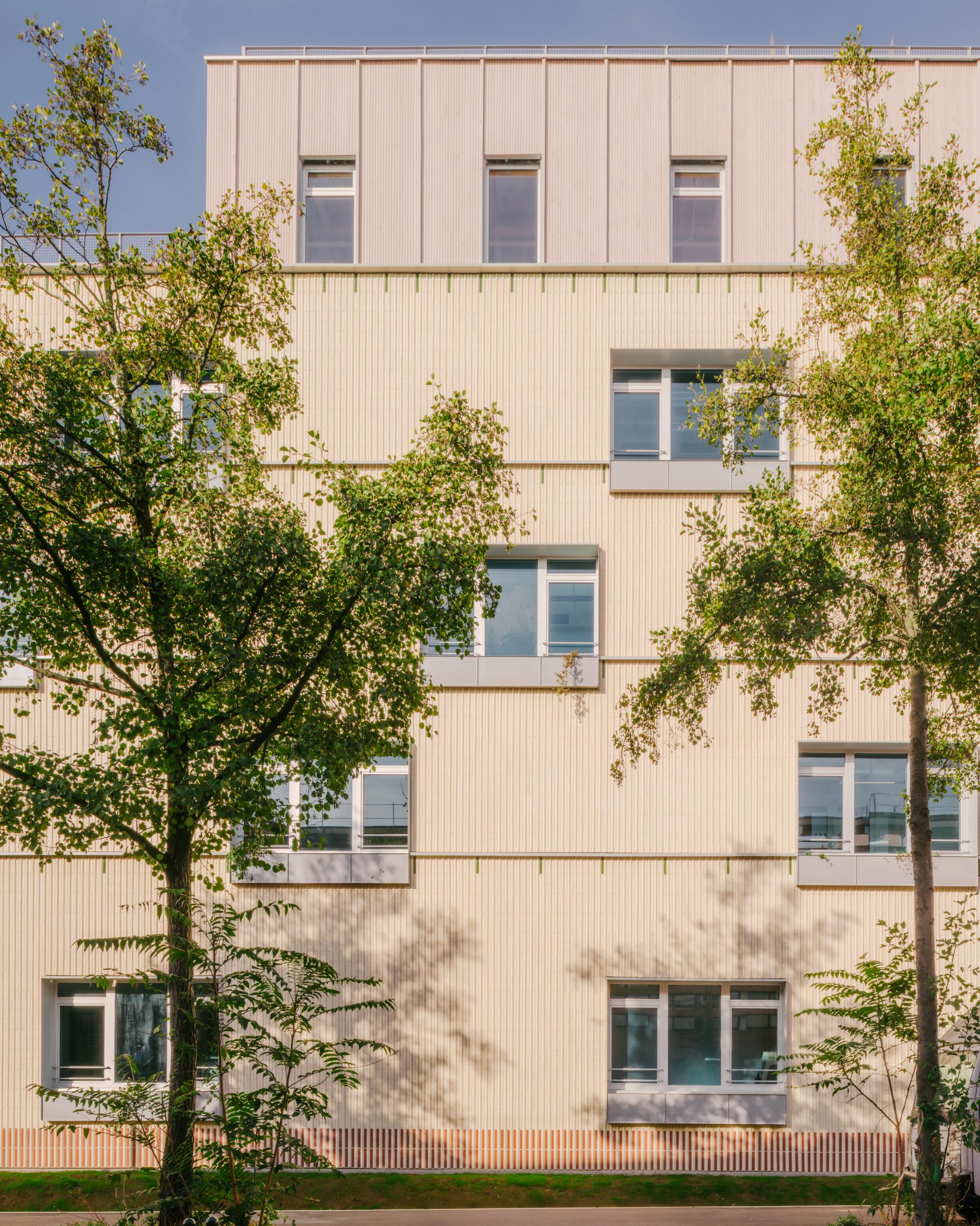 Façade du Groupe scolaire Dominique Frelaut à Colombes, volume compact en bardage clair rythmé de baies horizontales, cadré par des arbres en premier plan.