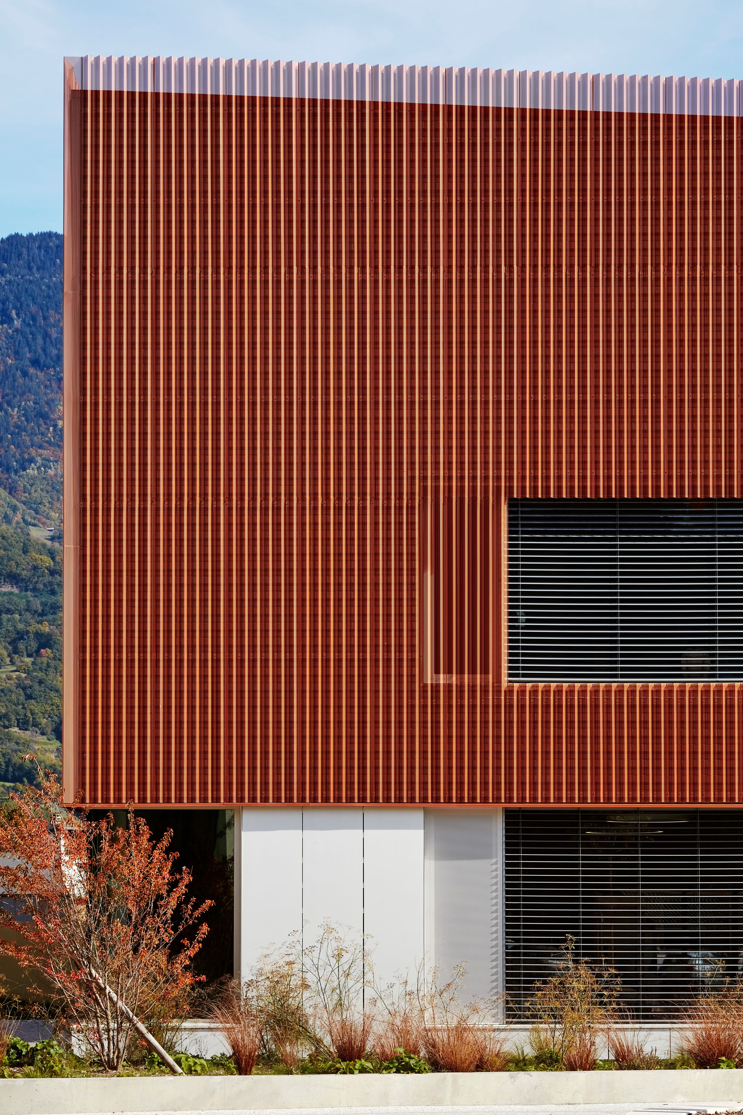 Copper-toned corrugated metal facade of the Simone Veil Early Childhood Center in Albertville, with deep window reveals and planted foreground.