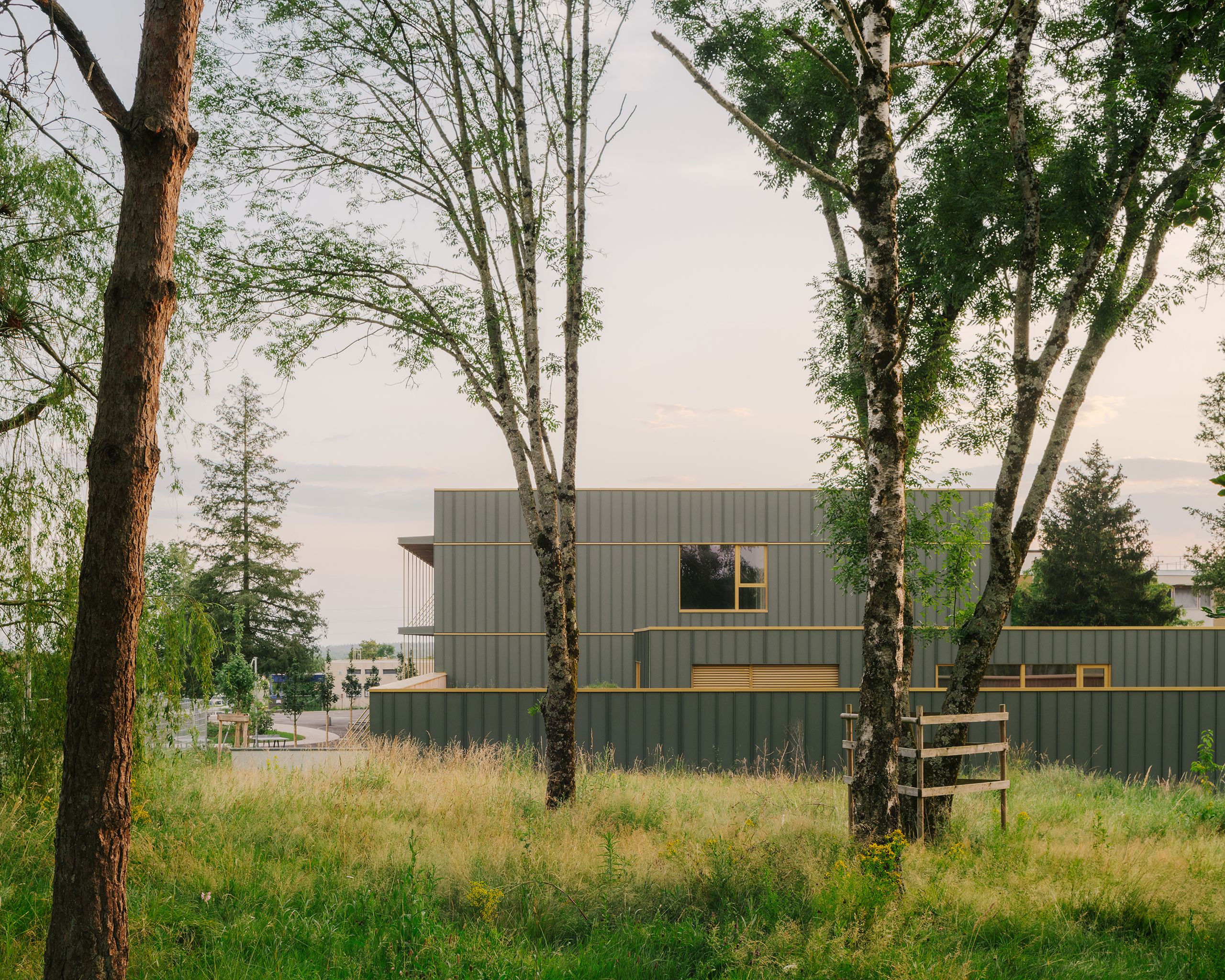Façade rénovée du collège Maryse Bastié à Dole, volume compact en bardage métallique vert et menuiseries jaunes, cadré par des arbres et une prairie en premier plan.