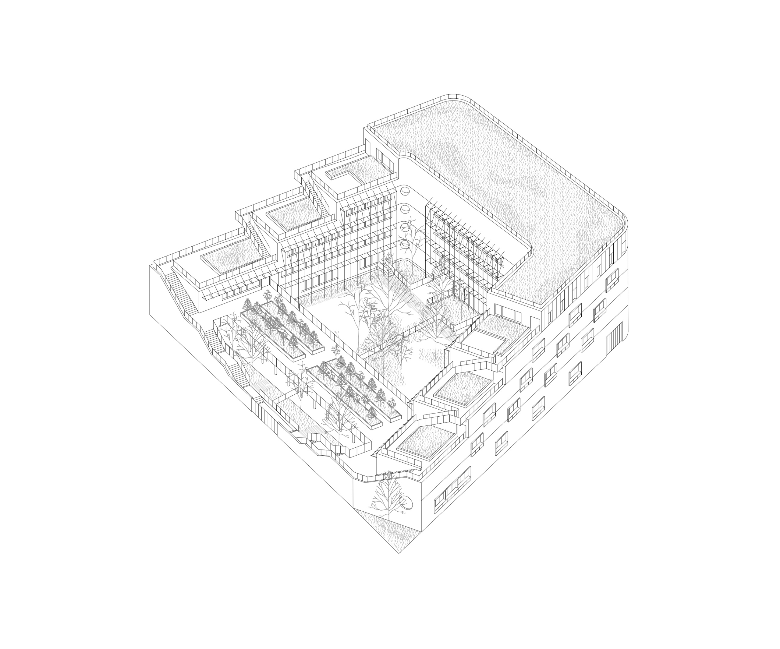 Axonométrie du Groupe scolaire Dominique Frelaut à Colombes : bâtiment en U enveloppant une cour plantée, toitures-terrasses gradinées et jardins suspendus.