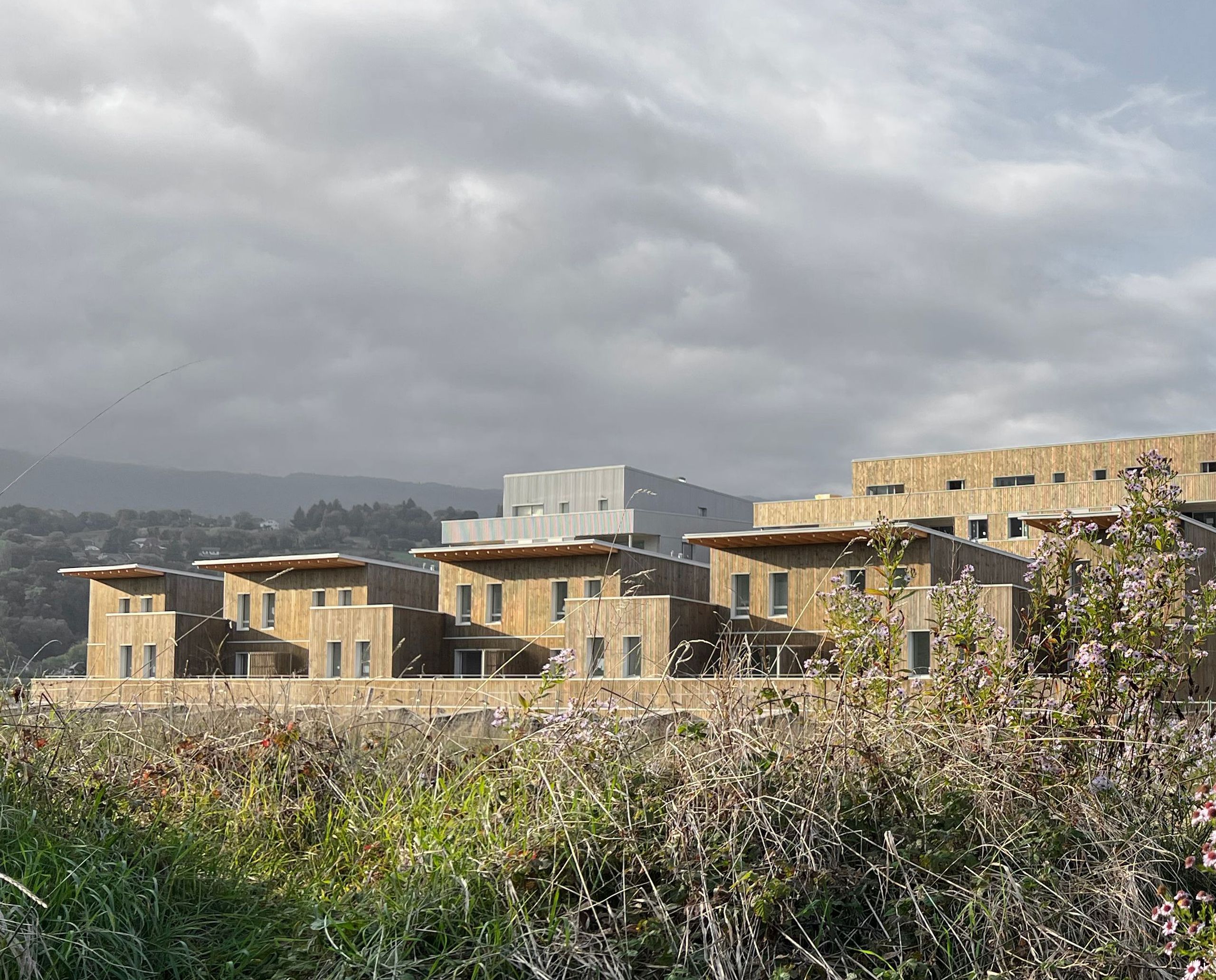 Vue lointaine du projet « 142 logements » à Cognin : volumes en bois superposés, toitures débordantes, percements réguliers, sur fond de paysage montagneux.