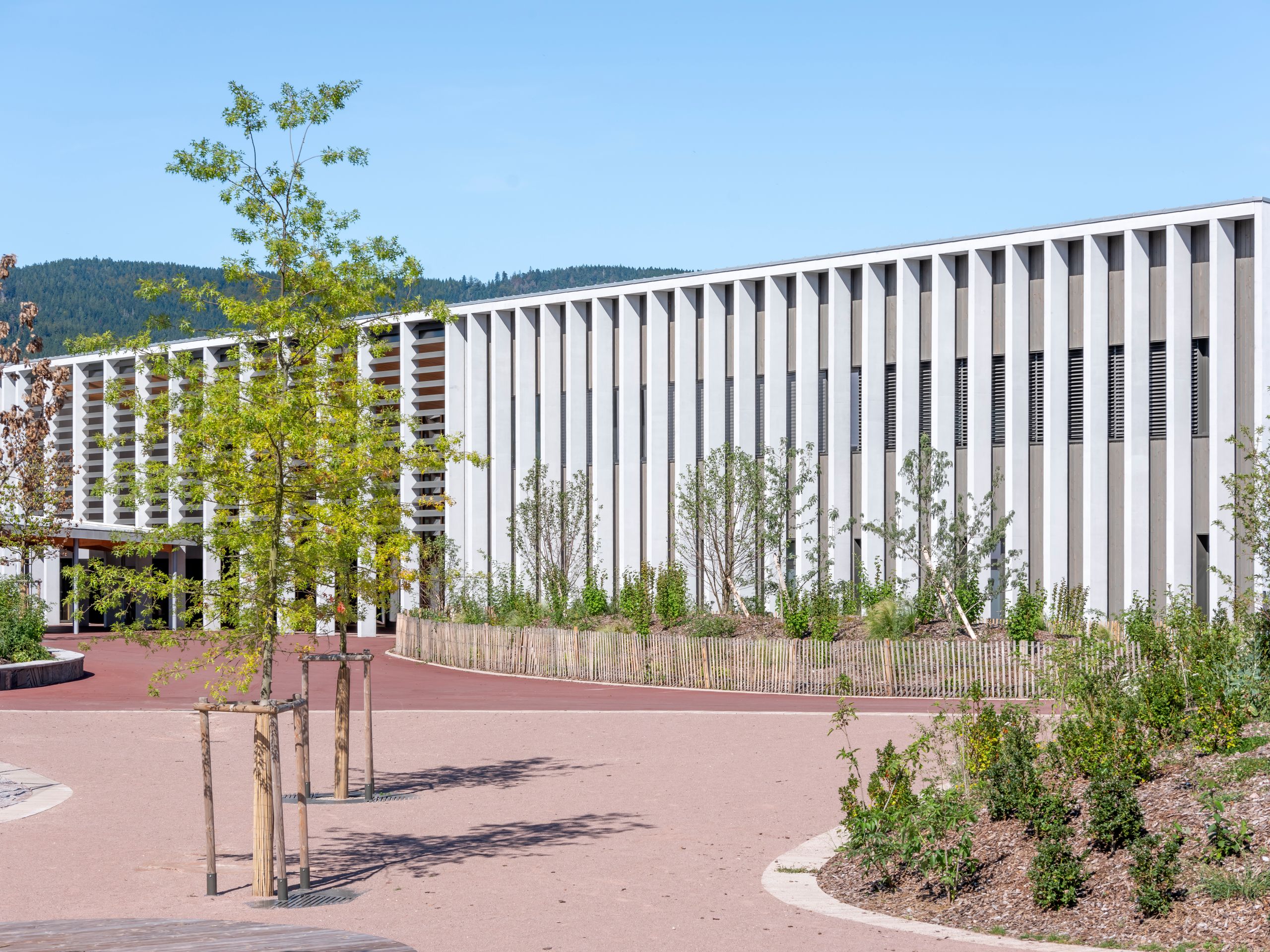 Façade longitudinale du Collège du Ban à Vagney, rythmée par un portique en béton et bois, ouvrant sur une cour minérale plantée en lisière de paysage vosgien.