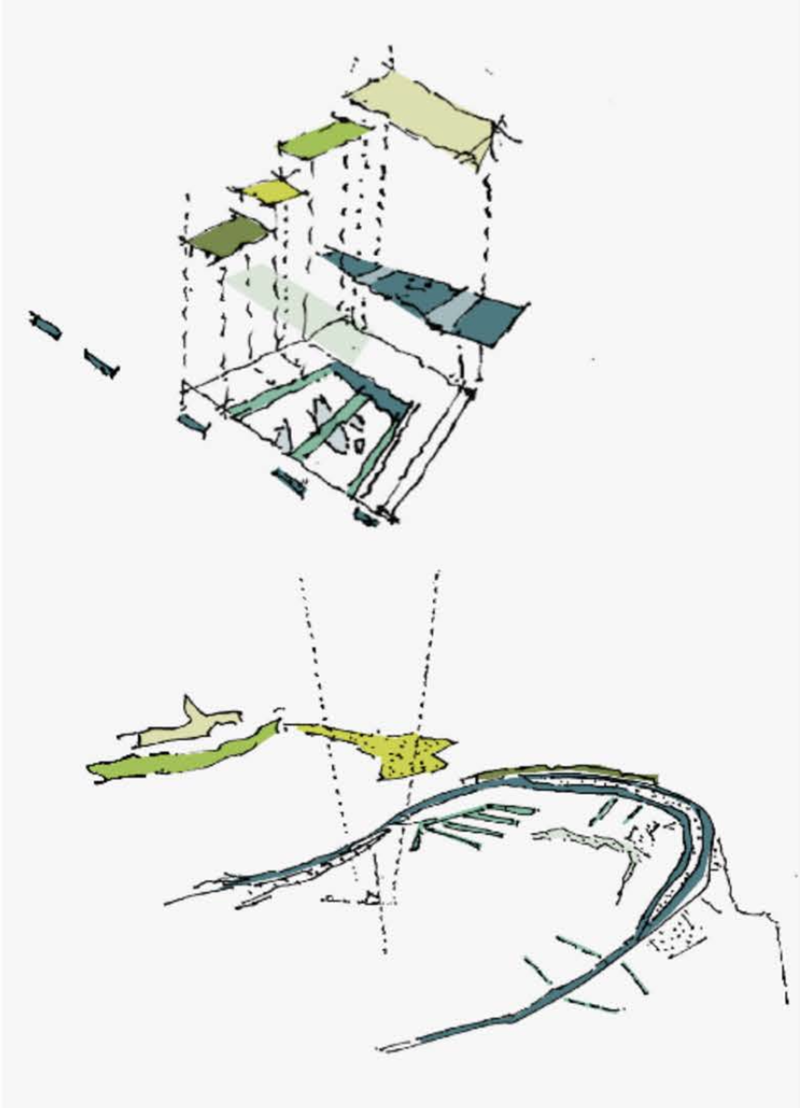 Schéma paysager du groupe scolaire Dominique Frelaut à Colombes, montrant les toitures-jardins en gradins et la cour protégée, en lien avec les strates végétales locales.