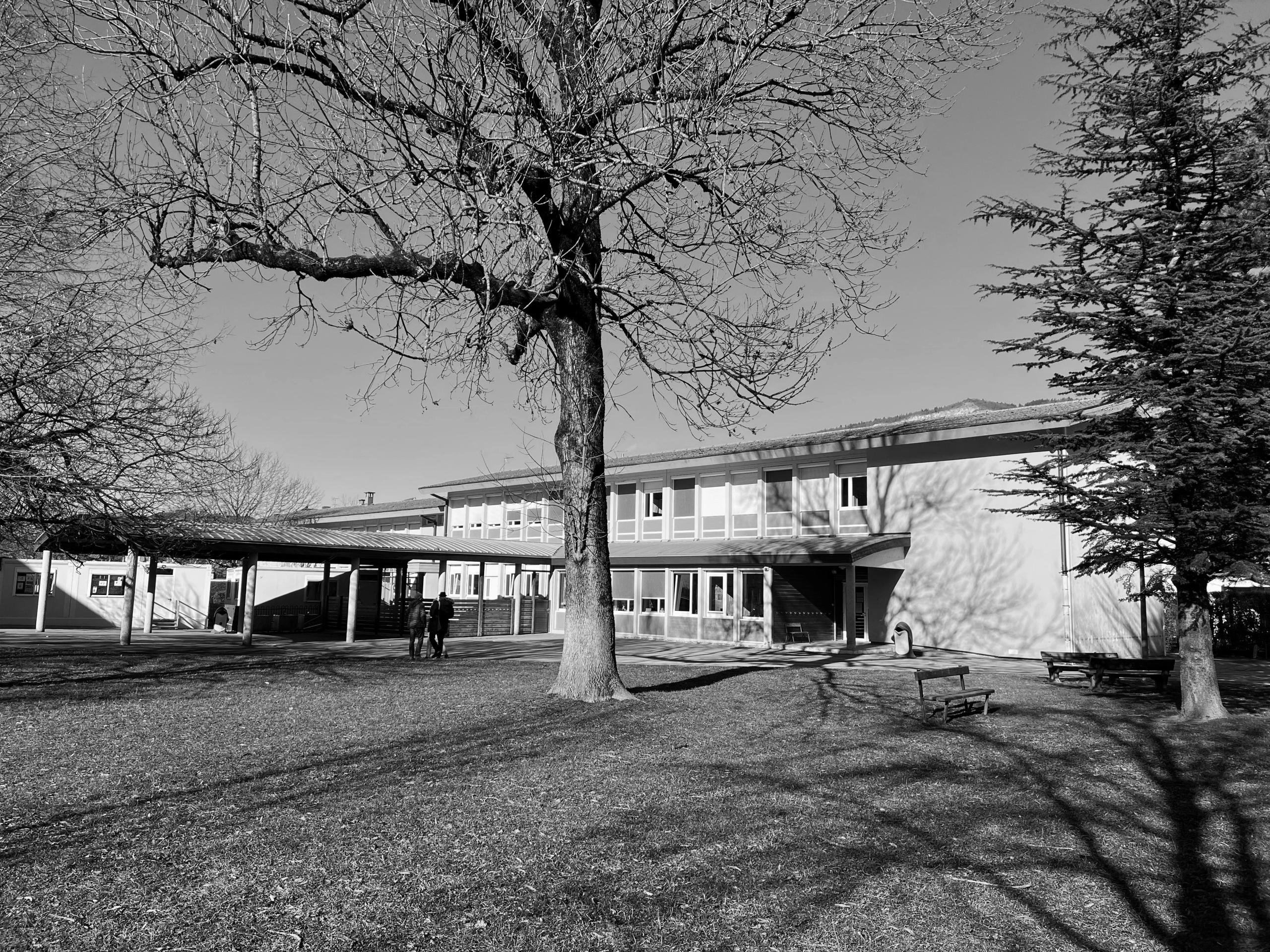 Vue d’ensemble du groupe scolaire du Bouchet à Bonneville avant restructuration, bâtiment en béton des années 1960 encadré de grands arbres et d’une cour ouverte.