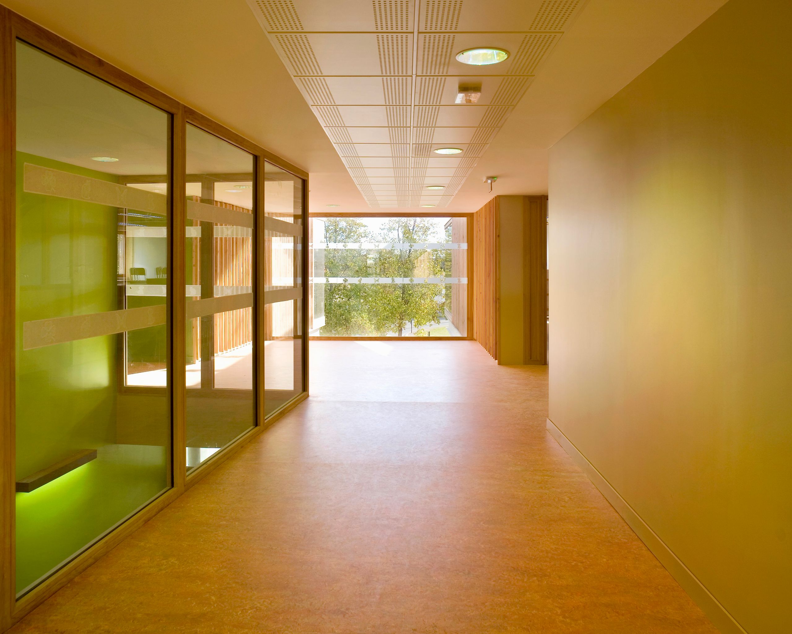 Couloir de l’école et centre de loisirs Jean Carrière à Nîmes, éclairé naturellement, avec parois vitrées bois, sols souples et vue cadrée sur les platanes.