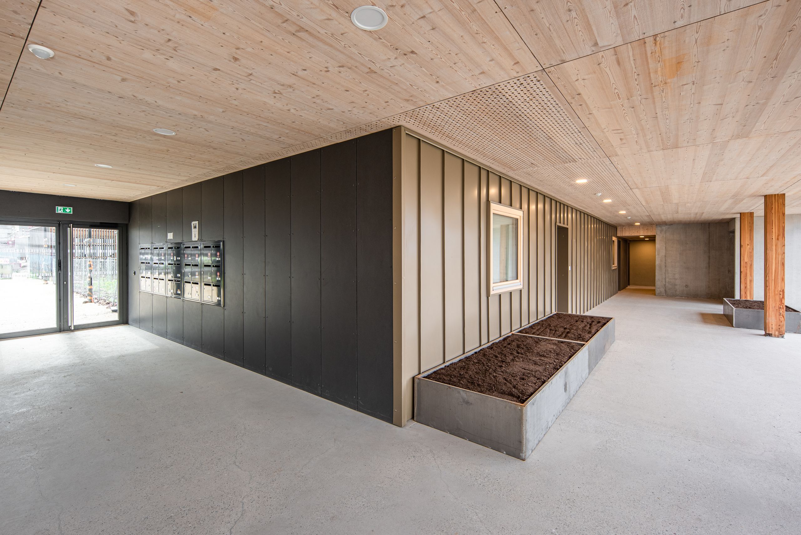 Hall d’accès des 98 logements à Strasbourg par Tectoniques, avec structure bois-béton apparente, bardage métallique, boîtes aux lettres et bacs plantés.