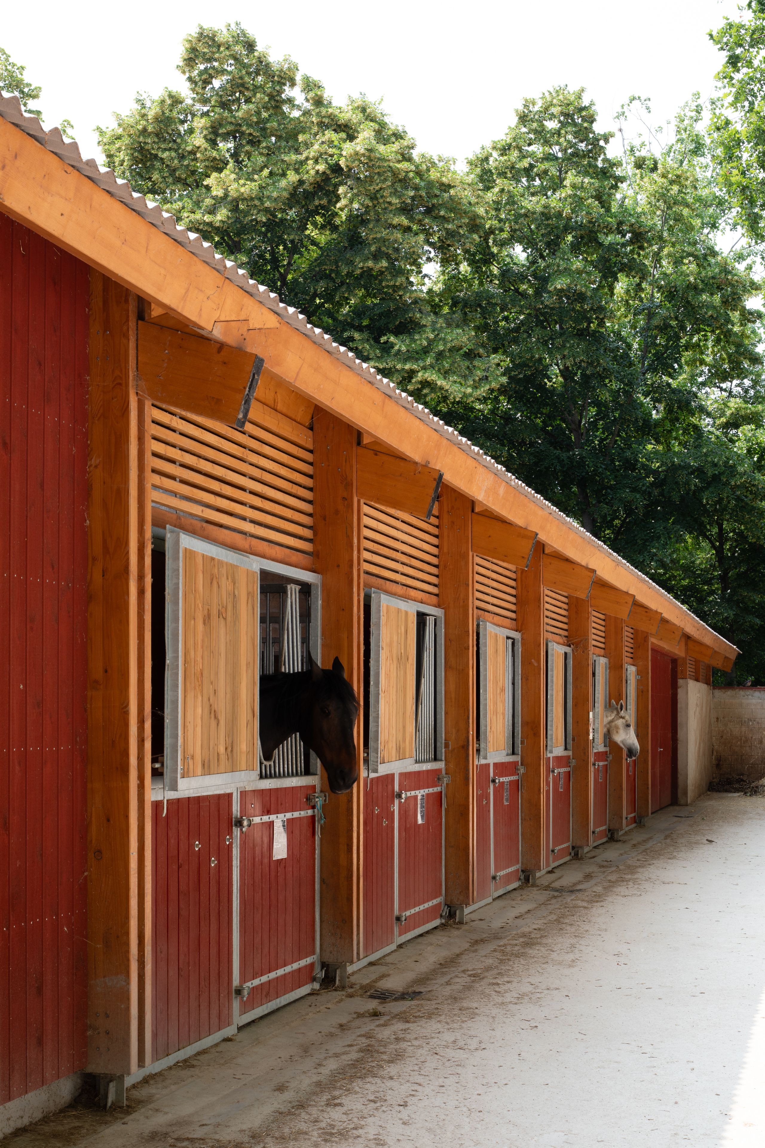 Écuries en bardage bois rouge de Falun à Gennevilliers, alignement de boxes ouverts sous toiture à deux pans, en lisière arborée du centre équestre.