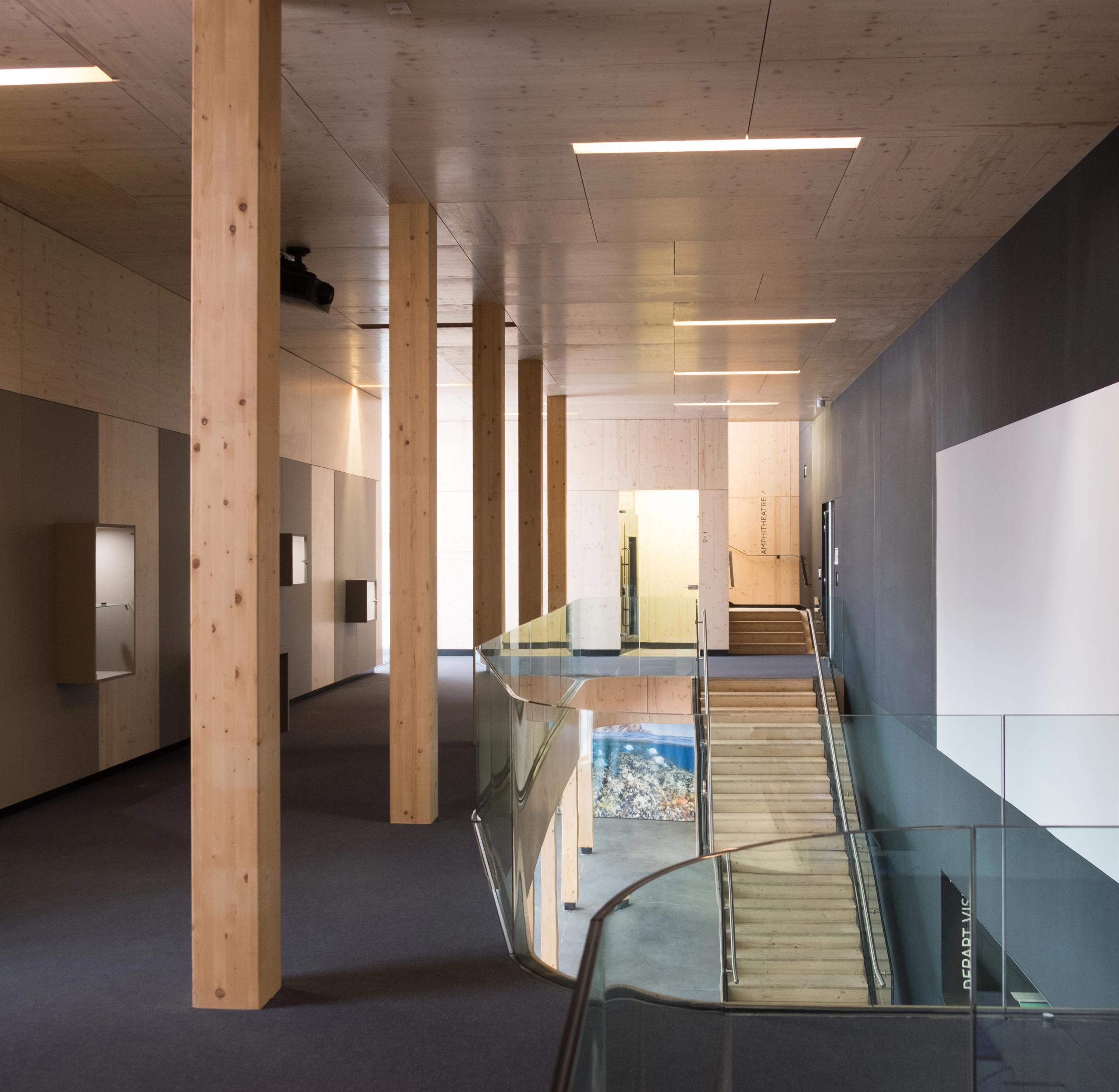 Circulation intérieure du Biodiversarium à Banyuls-sur-Mer, avec escalier central en bois, garde-corps vitrés, poteaux structurels et parois sombres.