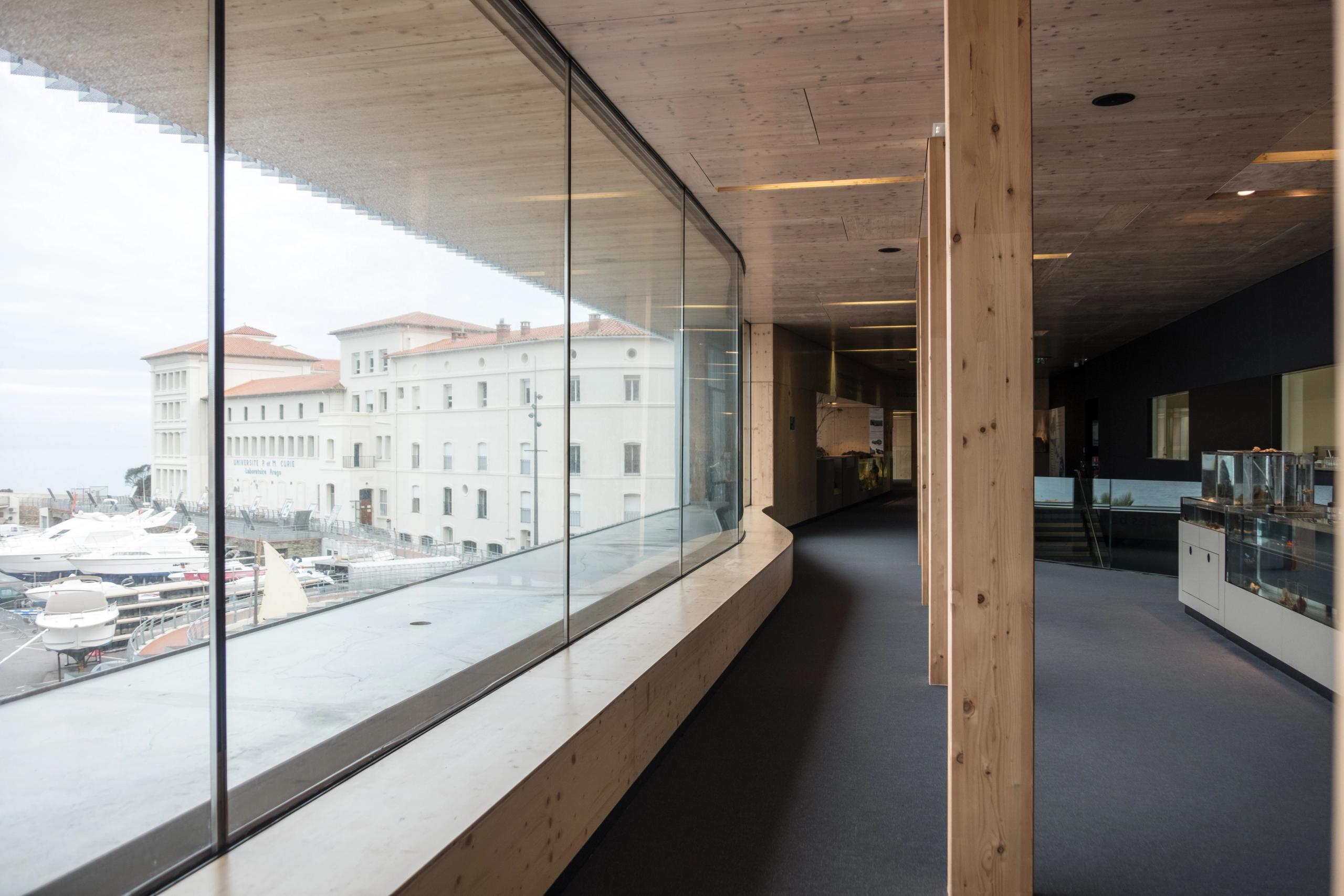 Galerie intérieure du Biodiversarium à Banyuls-sur-Mer, structure bois, façade vitrée longitudinale cadrant le port et les bâtiments historiques voisins.