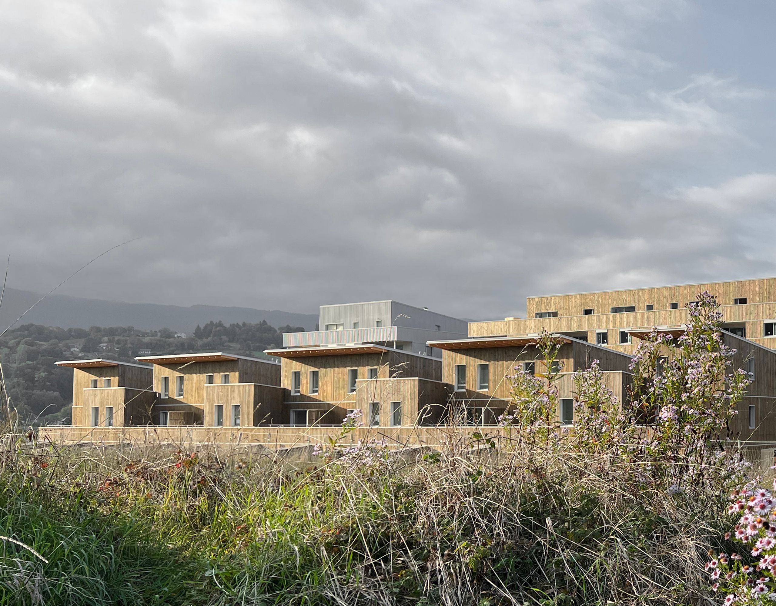 Vue lointaine du projet « 142 logements » à Cognin : volumes en bois superposés, toitures débordantes, percements réguliers, sur fond de paysage montagneux.