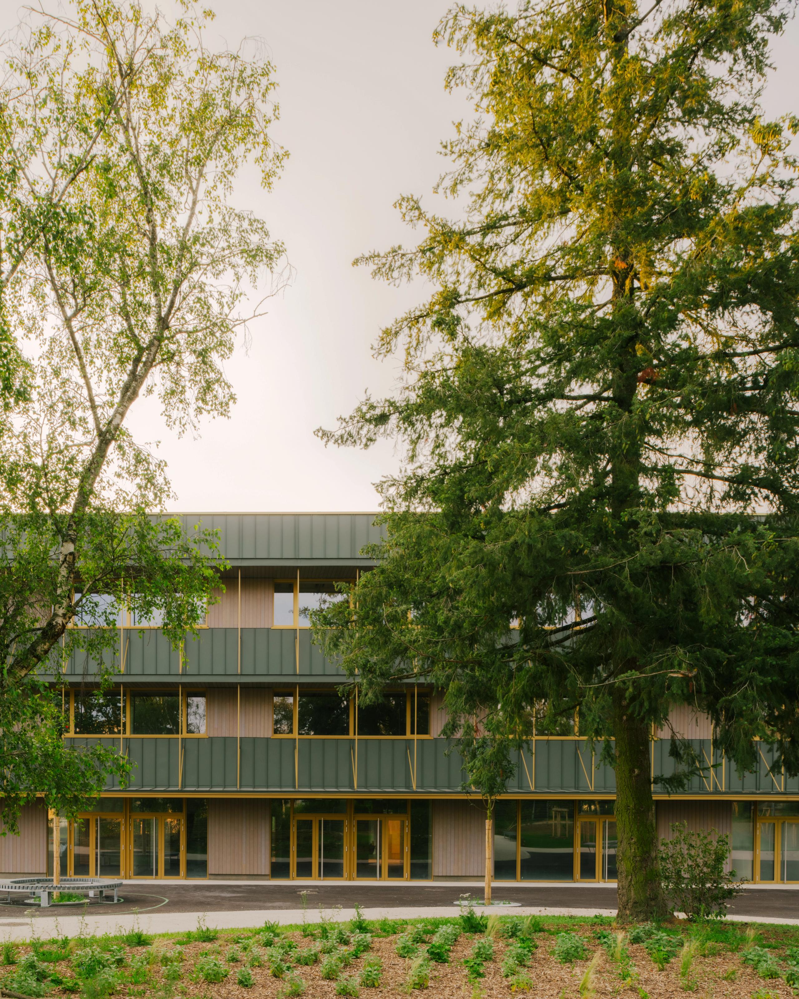 Façade restructurée du collège Maryse Bastié à Dole, bardage métallique vert et menuiseries bois, large bande vitrée sur jardin planté en premier plan.