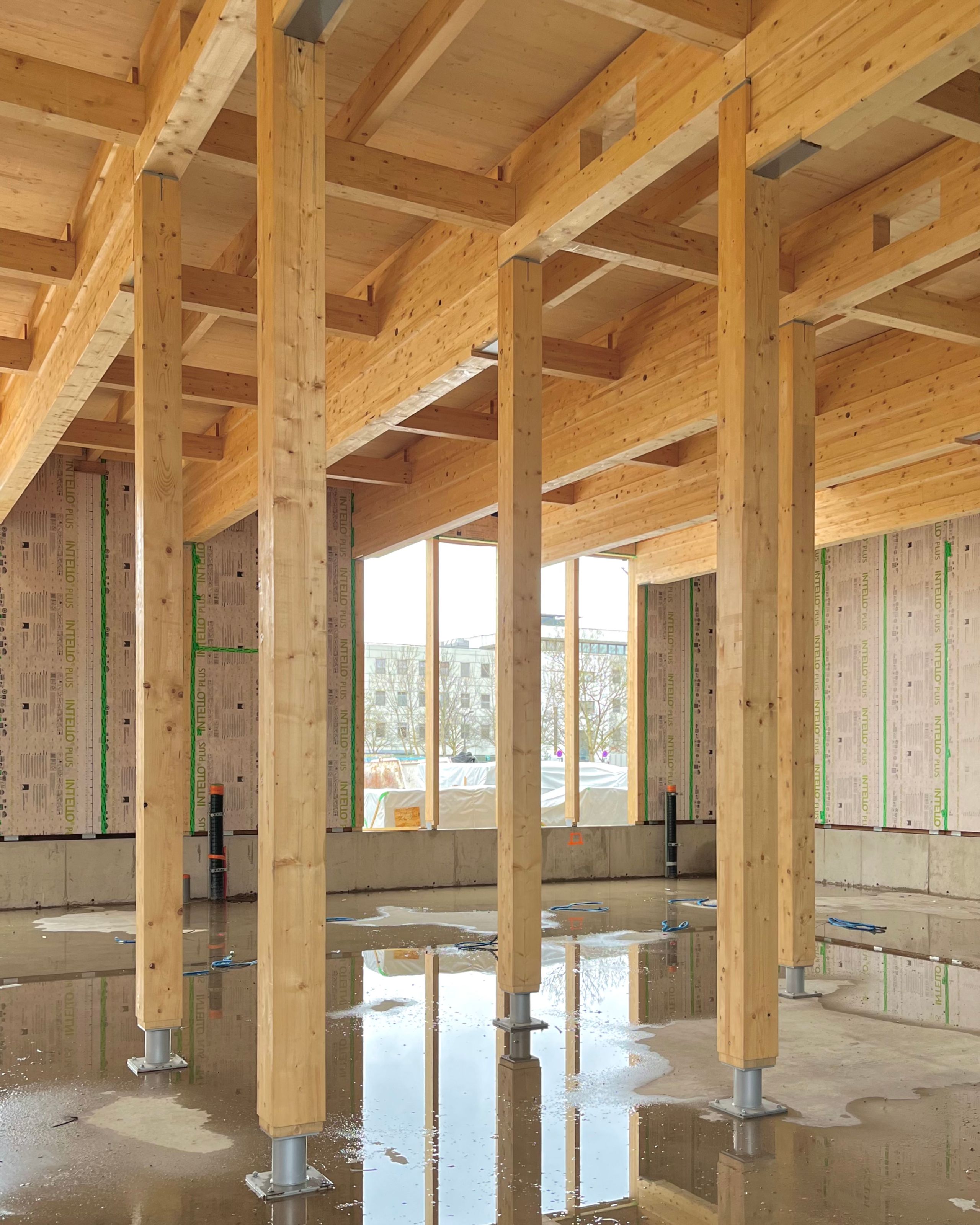 Structure bois apparente de la Cité campus Assia Djebar à Vaulx-en-Velin, poteaux et poutres lamellé-collé sur dalle brute, façade vitrée en fond de scène.