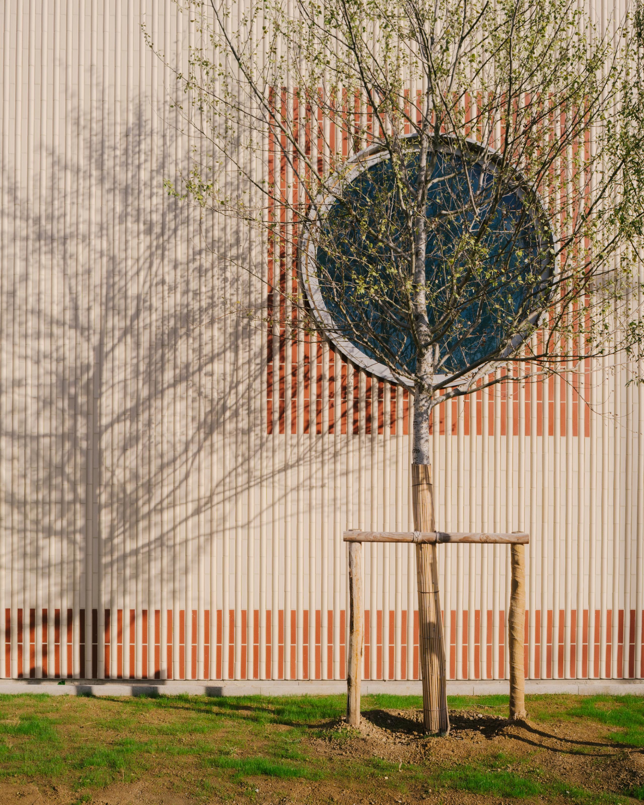 Façade rythmée en terre cuite du groupe scolaire Dominique Frelaut à Colombes, percée d’un oculus circulaire, avec jeune arbre planté au premier plan.