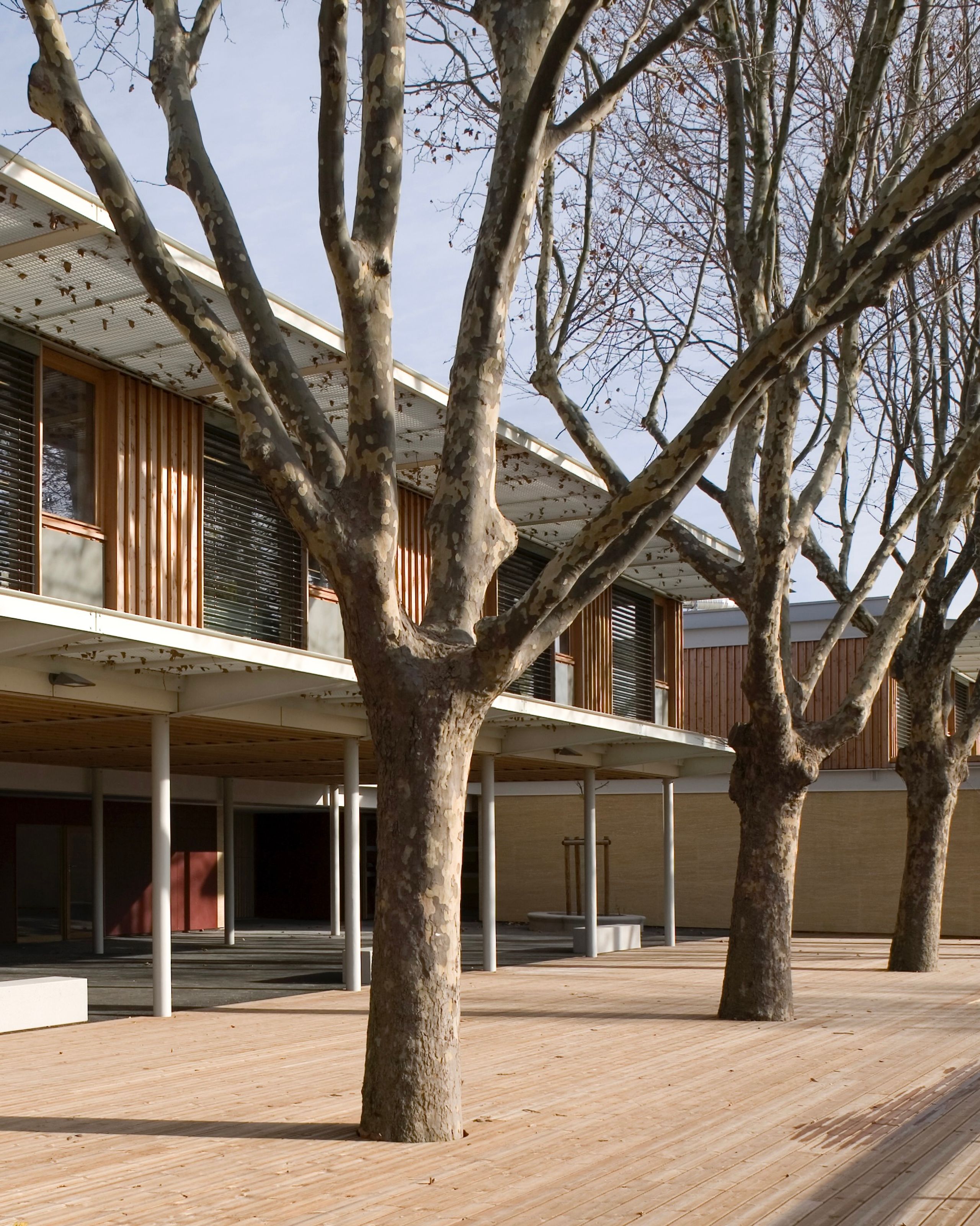 École et centre de loisirs Jean Carrière à Nîmes : volumes sur pilotis en bois et métal, socle minéral et vaste terrasse traversée par des platanes.