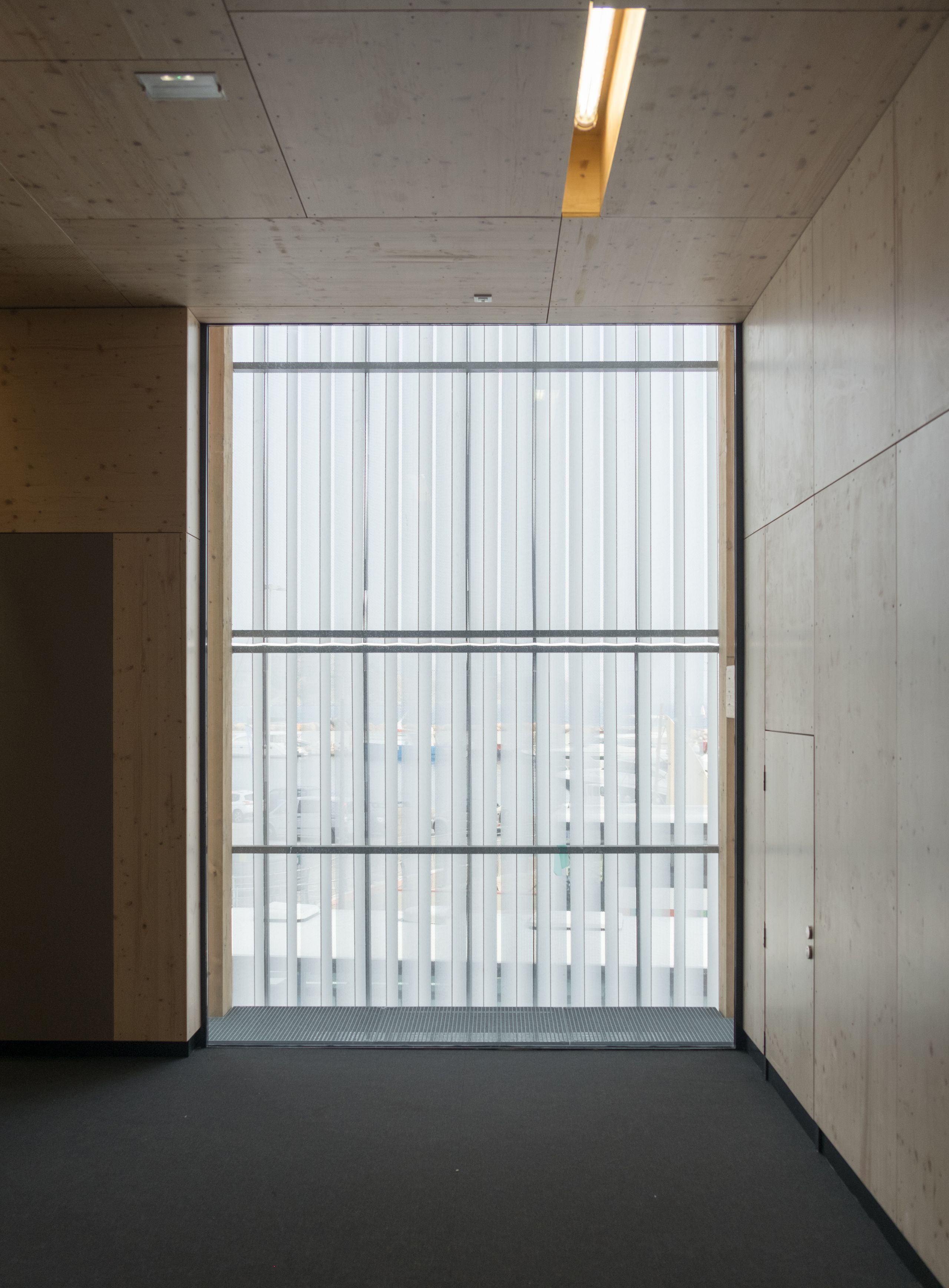 Intérieur du Biodiversarium à Banyuls-sur-Mer : circulation en bois clair ouverte sur une grande façade vitrée verticale filtrant la vue sur le port.