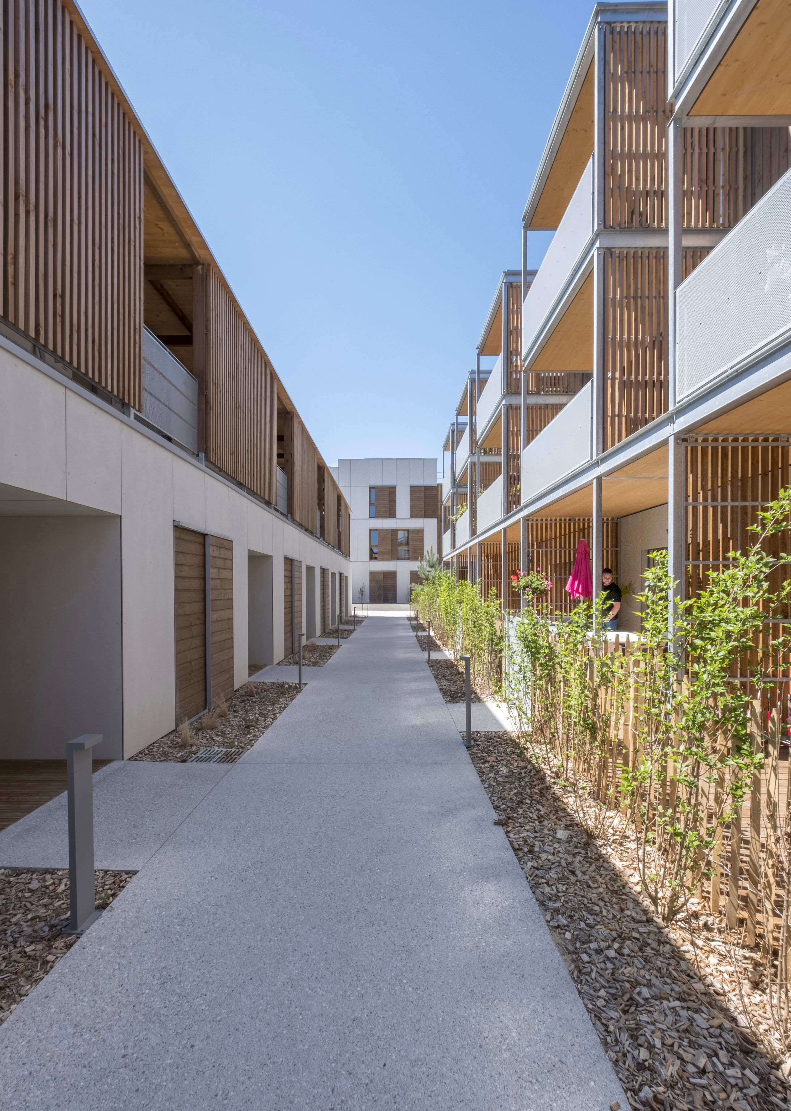 Vue de l’allée centrale des 65 logements à Seyssins, volumes intermédiaires en bois et béton, circulations extérieures et jardin partagé en cœur d’îlot.