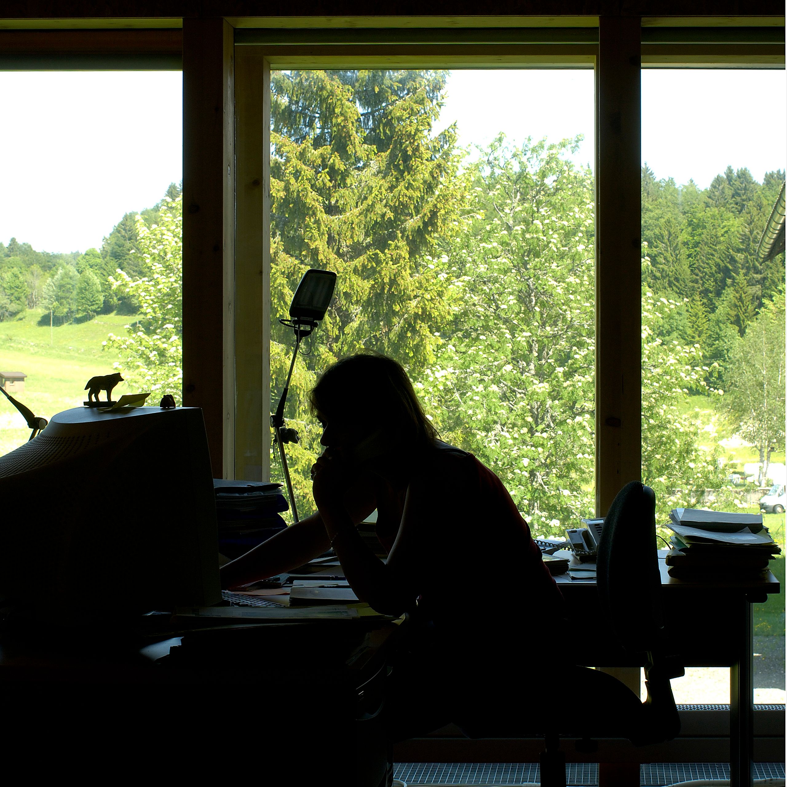 Intérieur de la Maison du Parc du Haut-Jura à Lajoux : bureau en bois largement vitré, cadrant le paysage forestier et la lumière naturelle du site.
