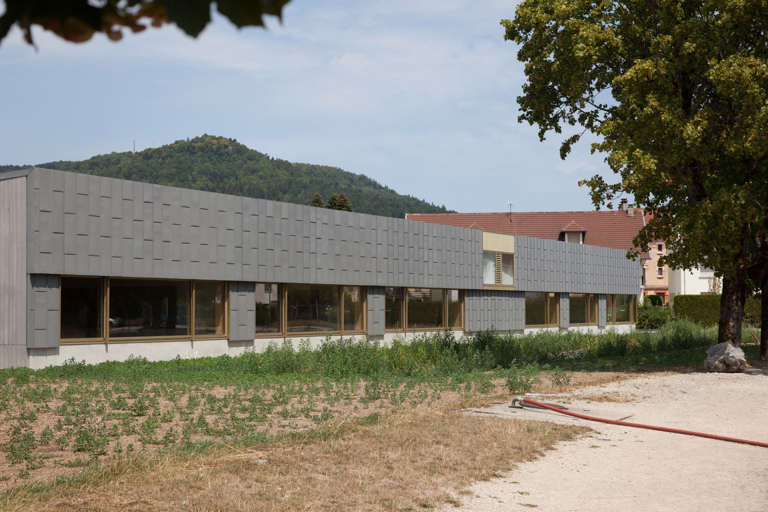 Façade de l’école élémentaire Hubert Reeves à Champagnole : volume bas en zinc gris, longues baies vitrées bois, implanté en lisière paysagère face aux reliefs.