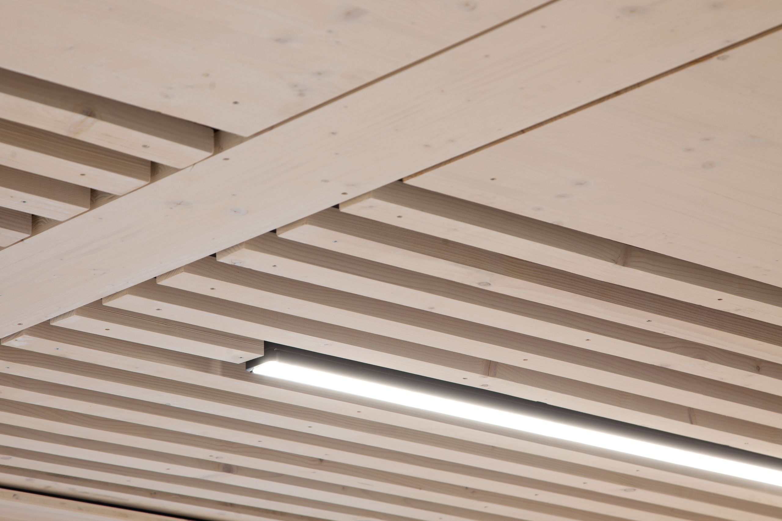 Plafond en lames de bois clair avec poutre apparente et bandeau lumineux linéaire, détail intérieur du bâtiment tertiaire surélevé à Saint-Martin-Belle-Roche.