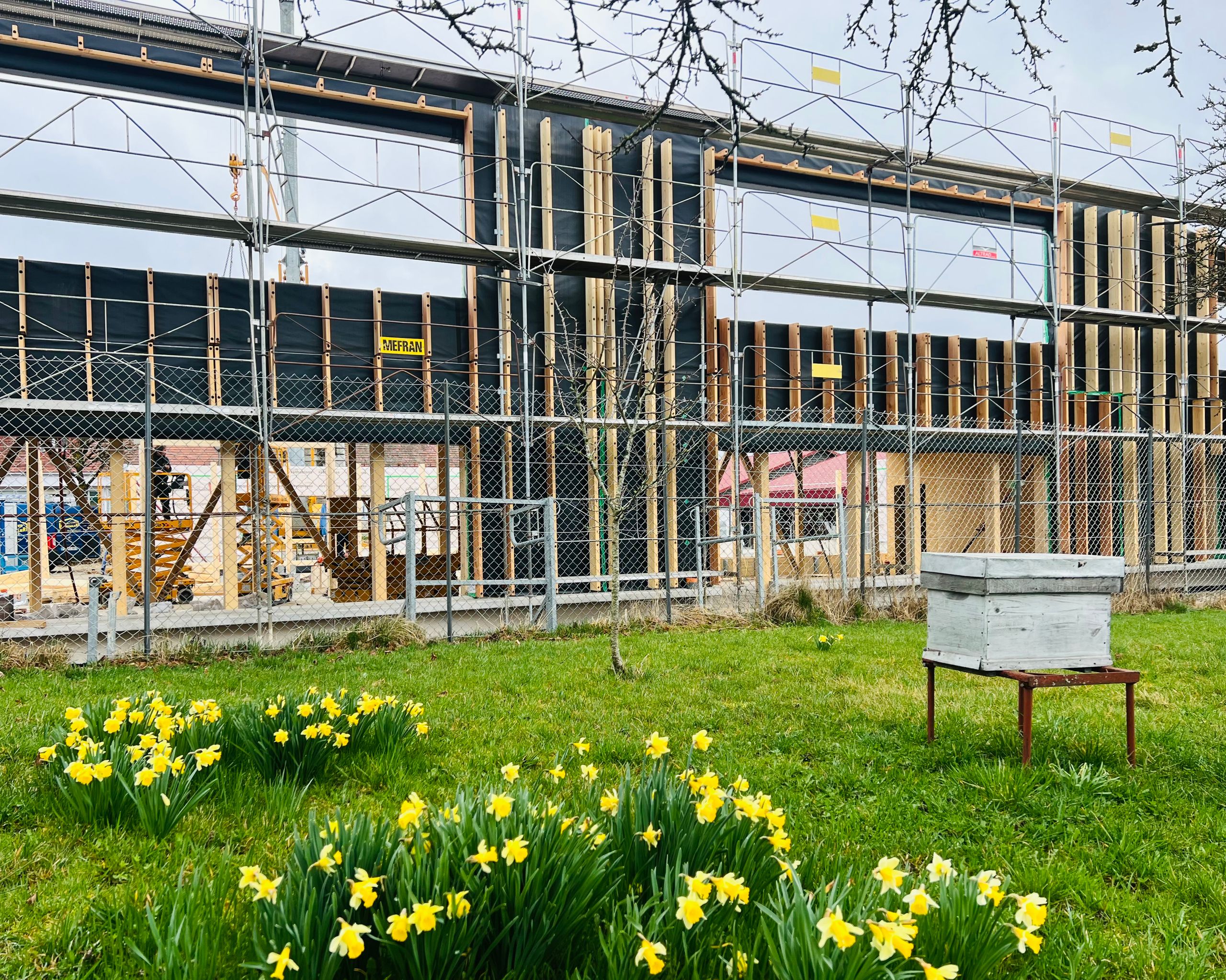 Chantier du groupe scolaire Louis Pergaud à Levier : volume compact en ossature bois, façades rythmées de montants verticaux, échafaudages et cour plantée au premier plan.