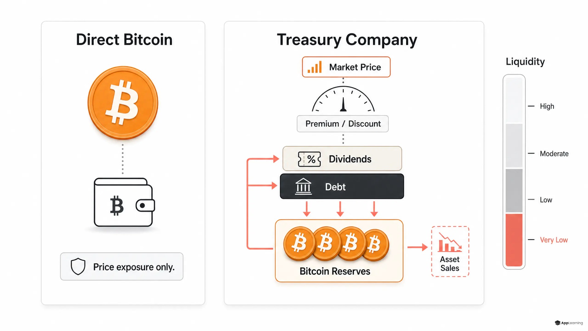Comparison of direct Bitcoin ownership and a leveraged Bitcoin treasury company.