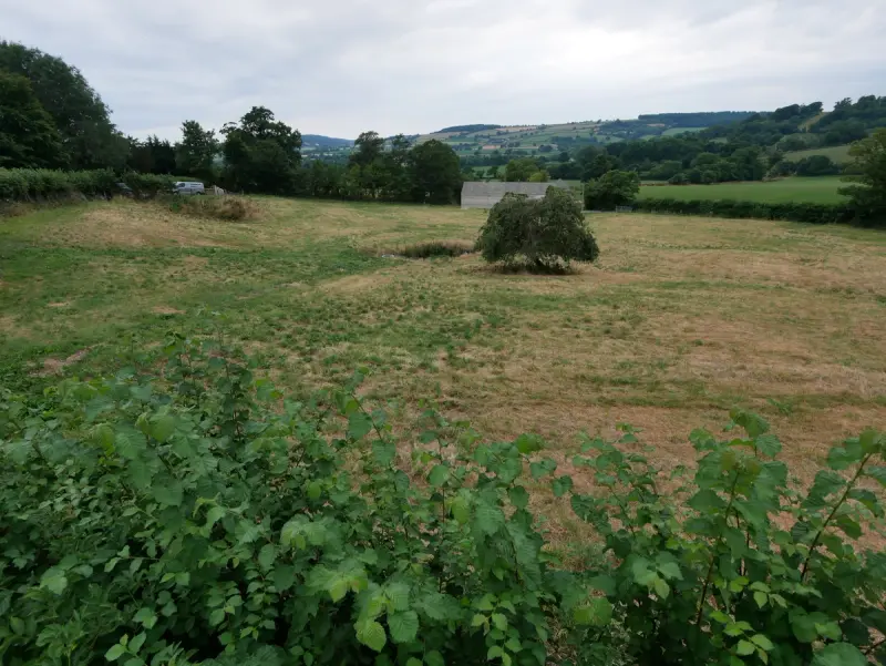 Cribhouse | East Devon — Image 4