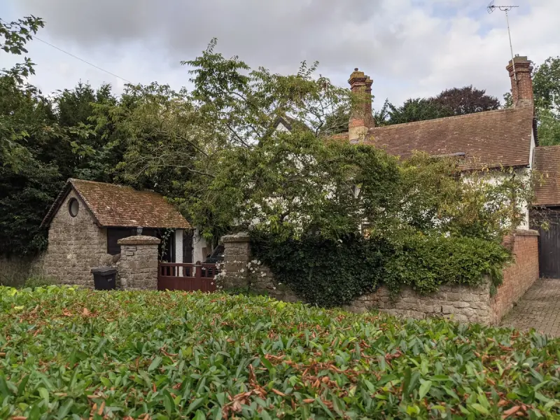 Southernwood | Vale of White Horse — Image 2