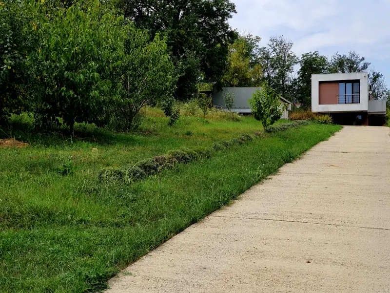 Serpentine House — Image 2