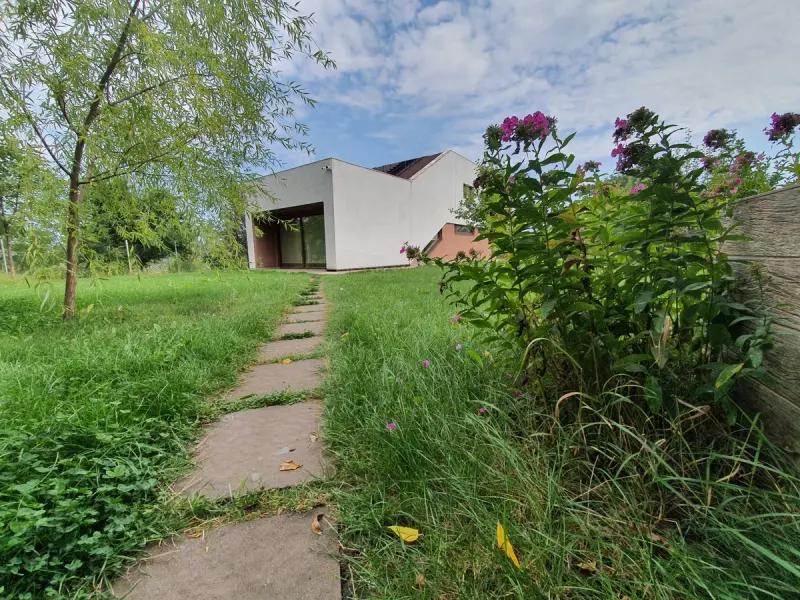 Serpentine House — Image 7