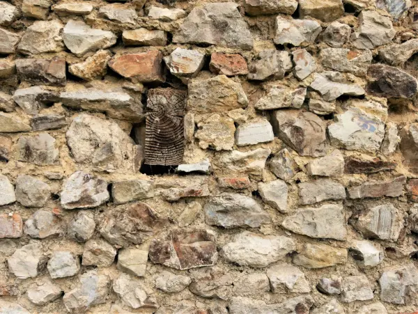 Cribhouse | East Devon