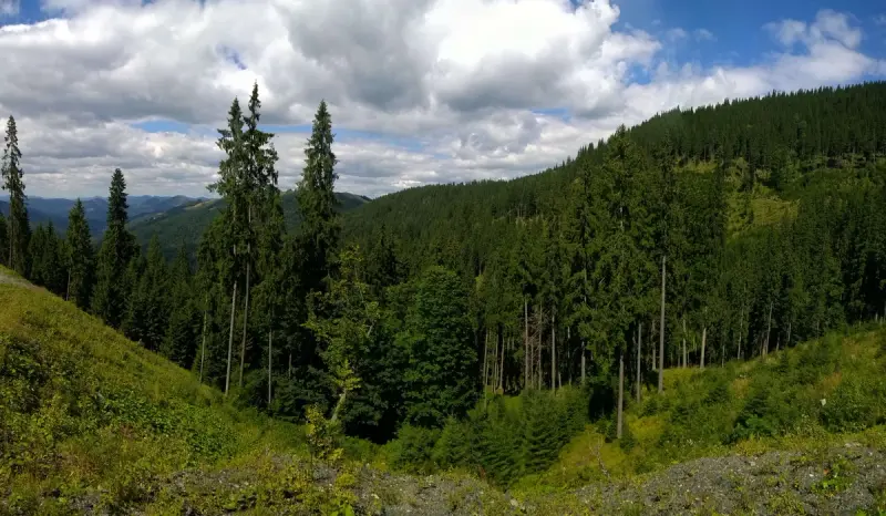 Dorna Spa — Image 1