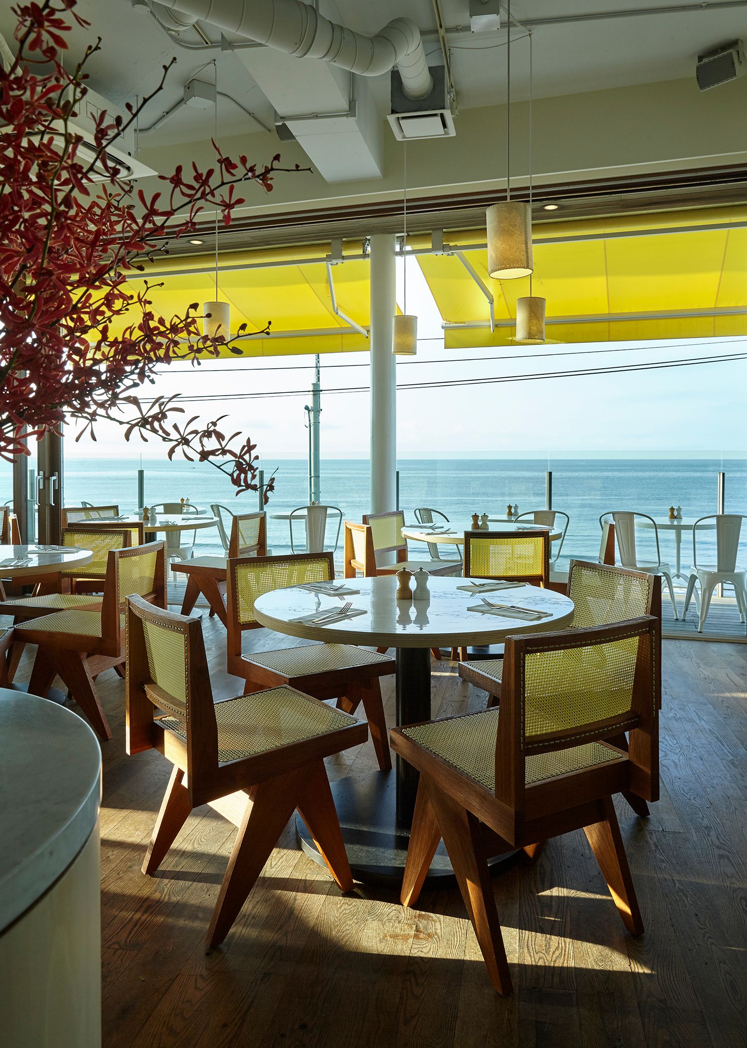 特色咖啡廳：Bills Kamakura