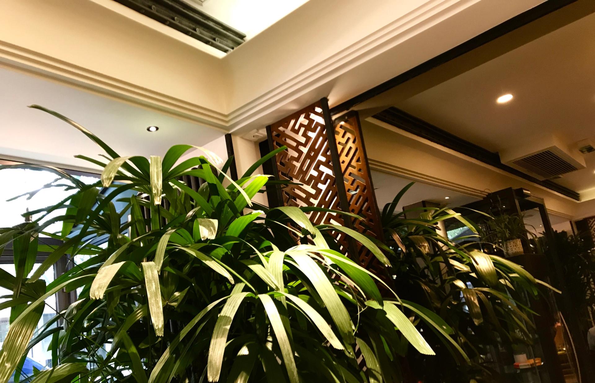 Galerie 8