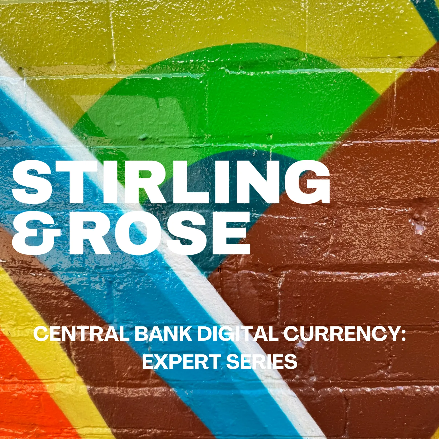 Central Bank Digital Currency: Expert Series