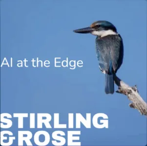 AI at the Edge