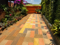 Vista 1