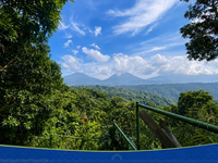 Vista 8