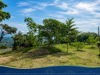Vista 11