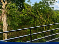 Vista 13