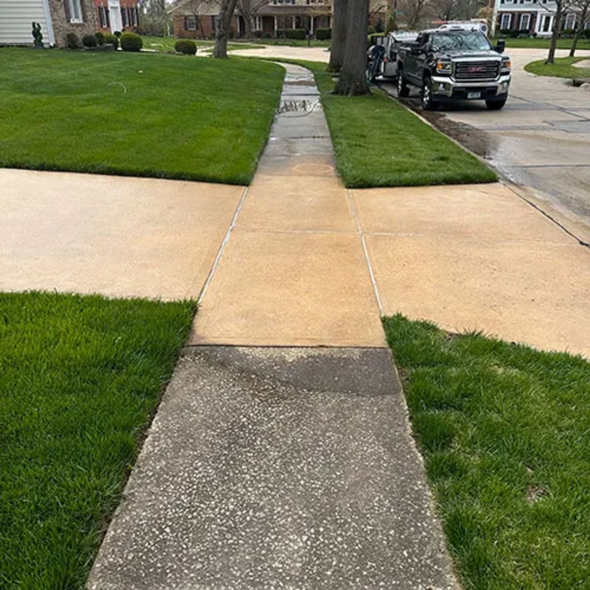 Transform Your Driveway: The Complete Guide to Professional Driveway Cleaning